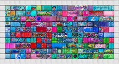 Fotografía pigmentada en color