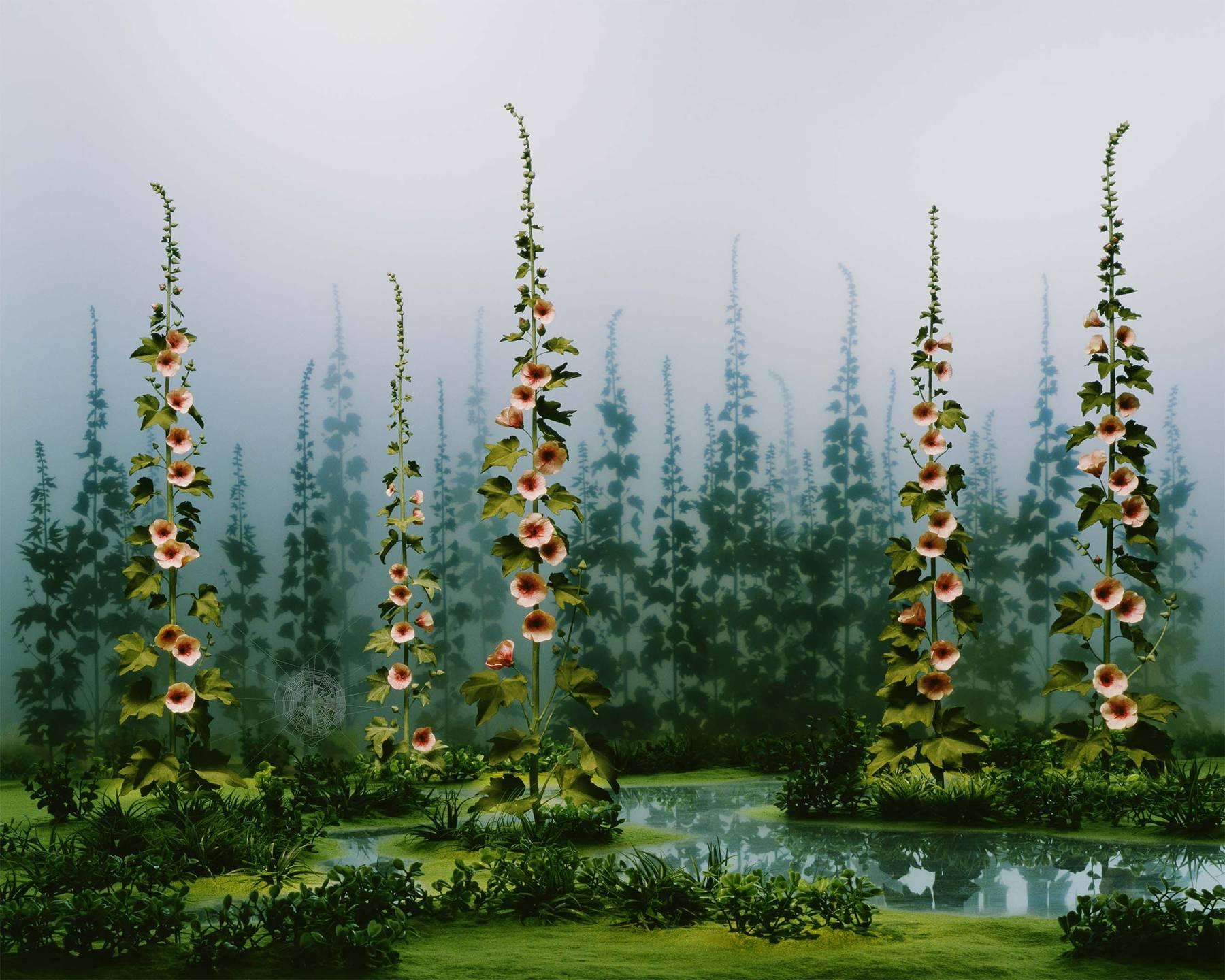 Didier Massard Color Photograph - April Garden