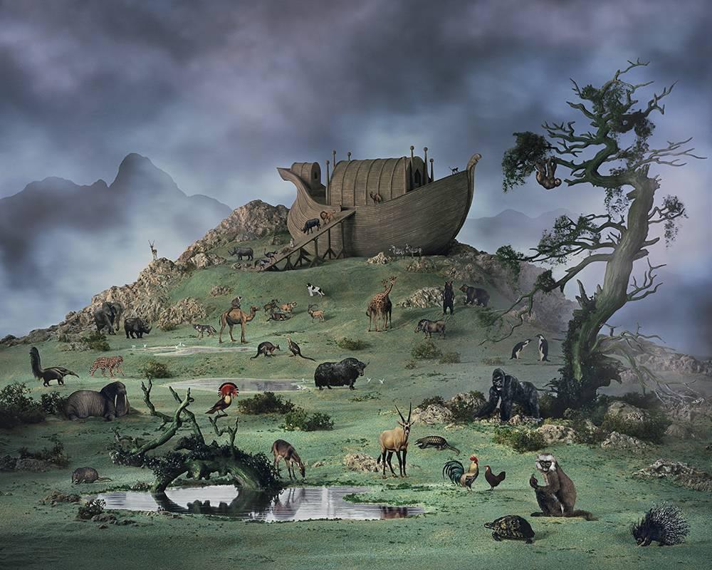 Didier Massard Color Photograph - Noah's Ark