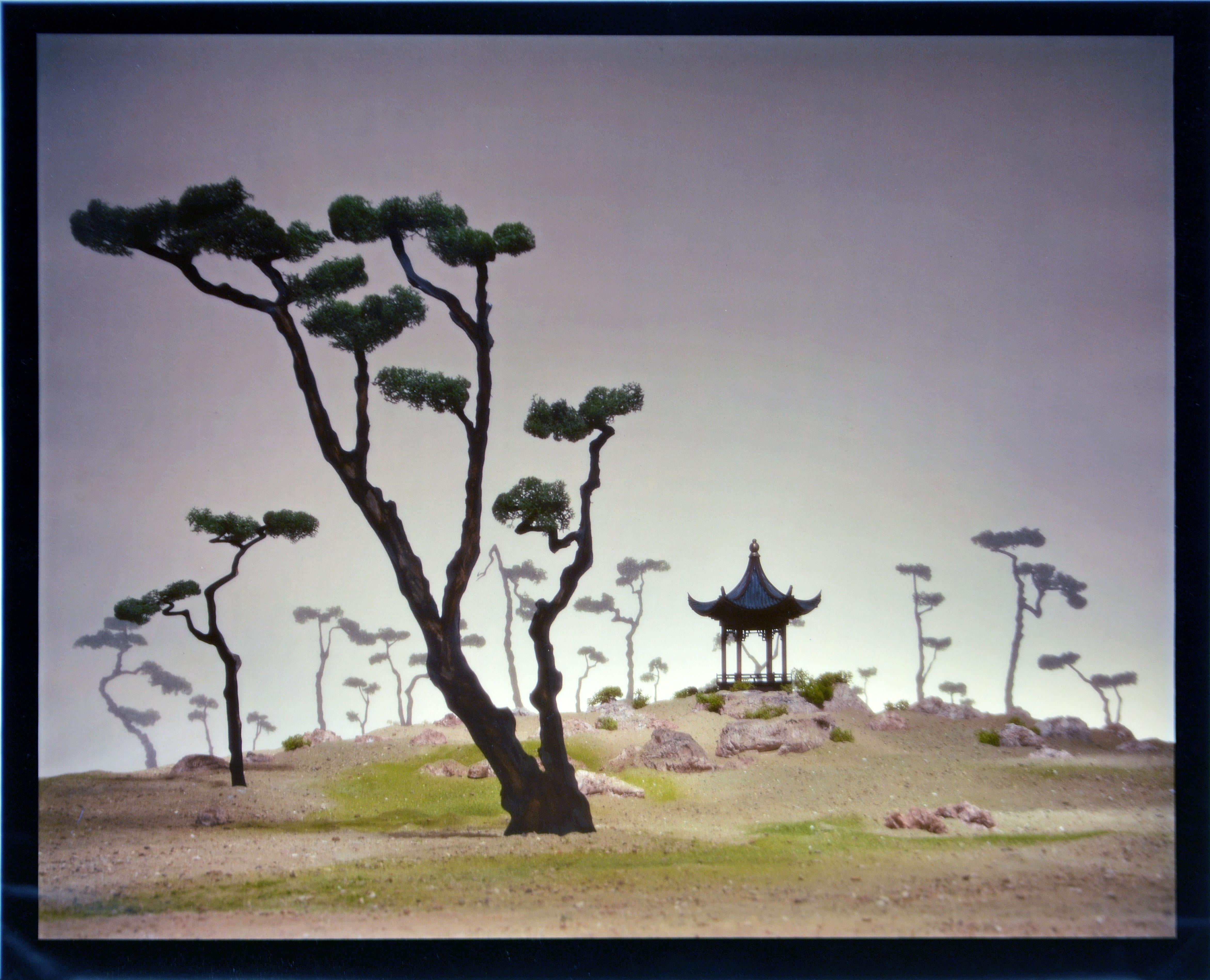 Didier Massard (French. b. 1953).
Landscape with Chinese Pavilion.
Cibachrome Print (Ilfochrome Classic). Image: 15 x 18.75 in / 38 x 48 cm, full margins. Frame: 21.25 x 27.25 in / 54 x 69.5 cm.
Signed on verso, inscribed on back