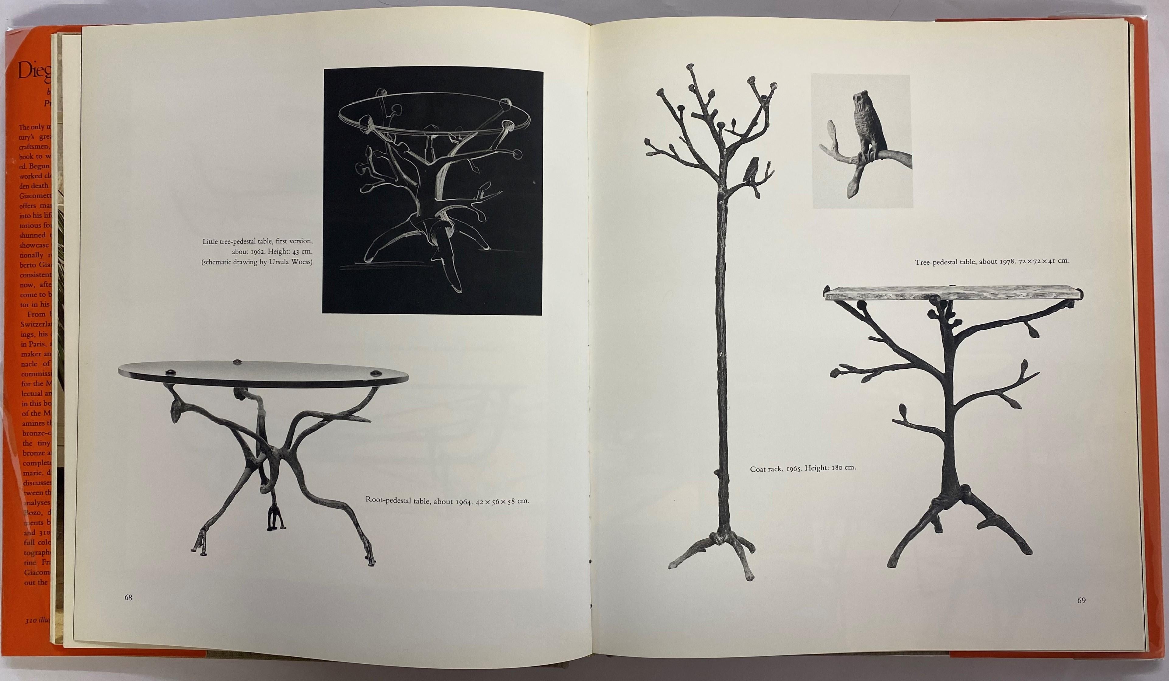 Paper Diego Giacometti by Daniel Marchesseau (Book)
