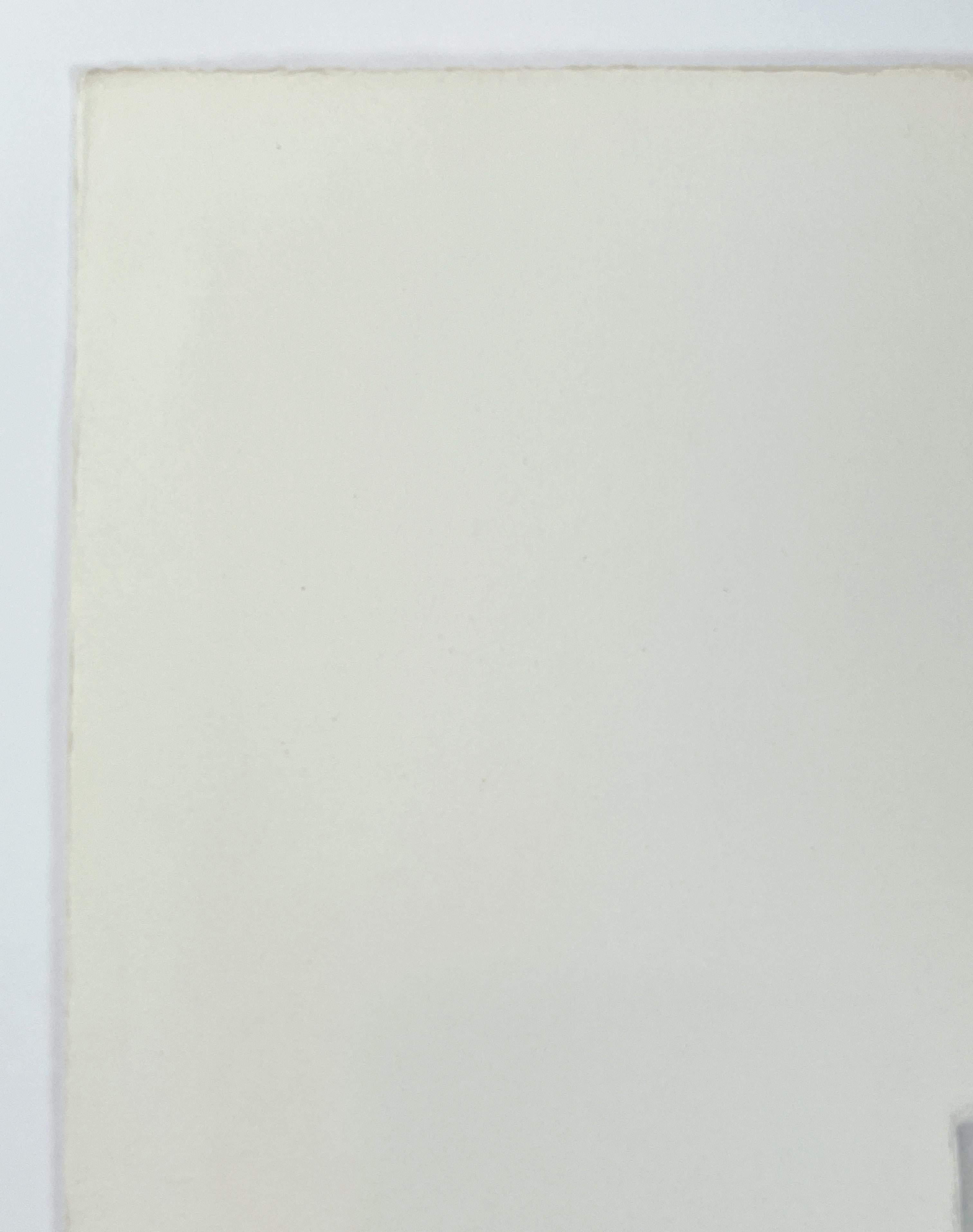 A feminine thought Dieter Roth portfolio abstract geometric black white etching For Sale 10