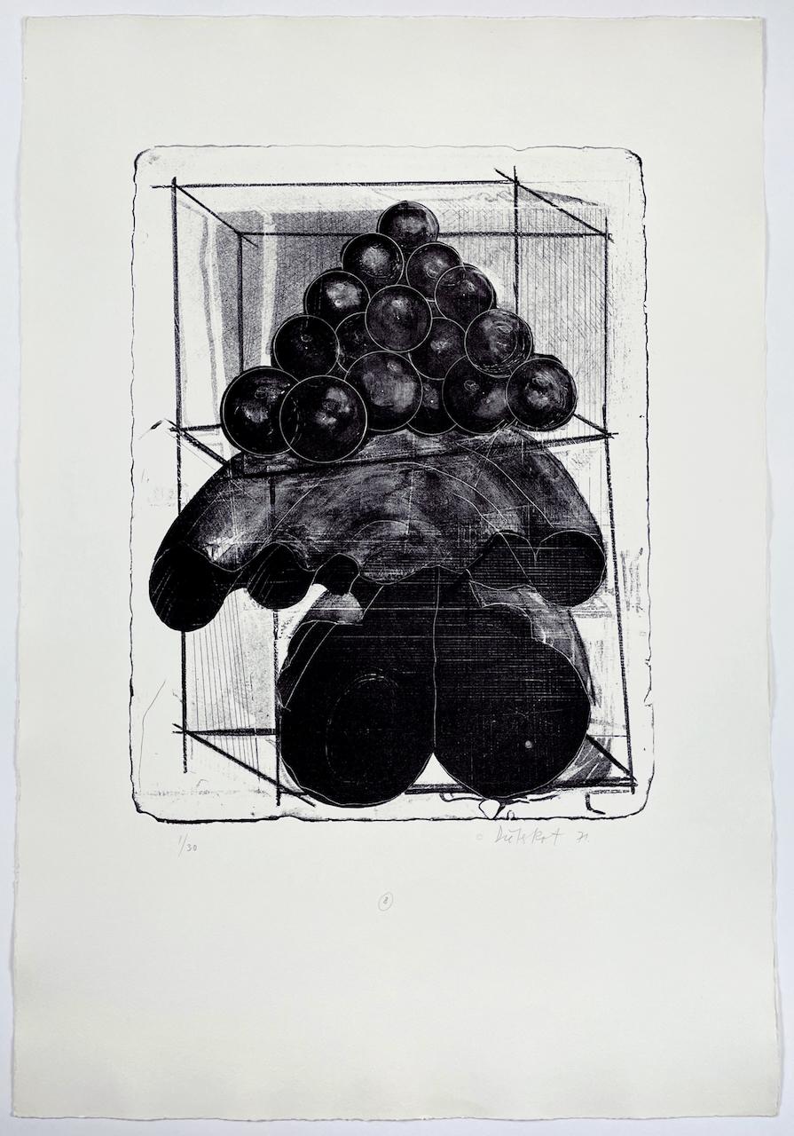 A Muse by Dieter Roth set of ten abstract black and white lithographs For Sale 6