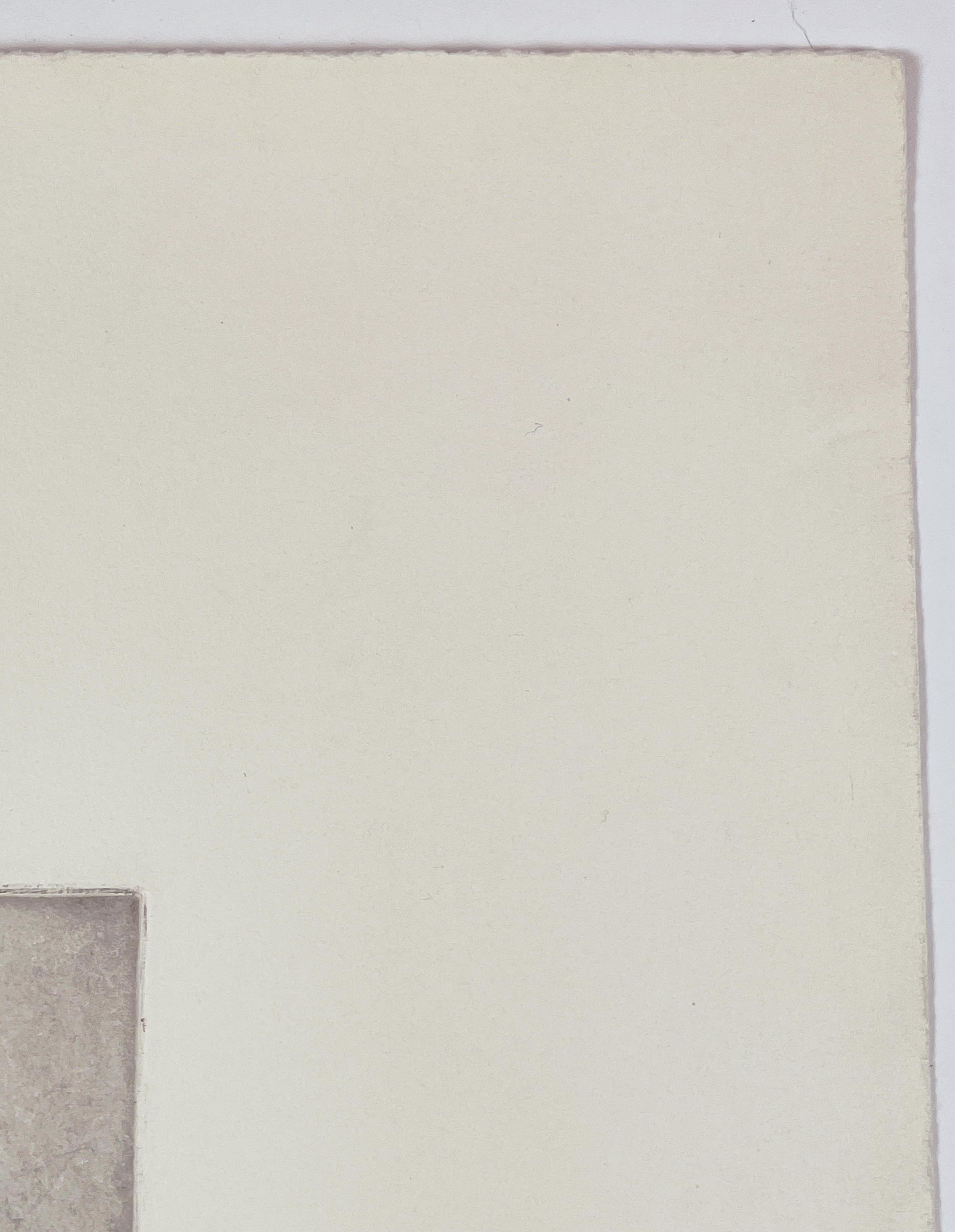 Ein Gedanke von Dieter Roth, abstrakte geometrische schwarz-weiße Radierung im Angebot 6
