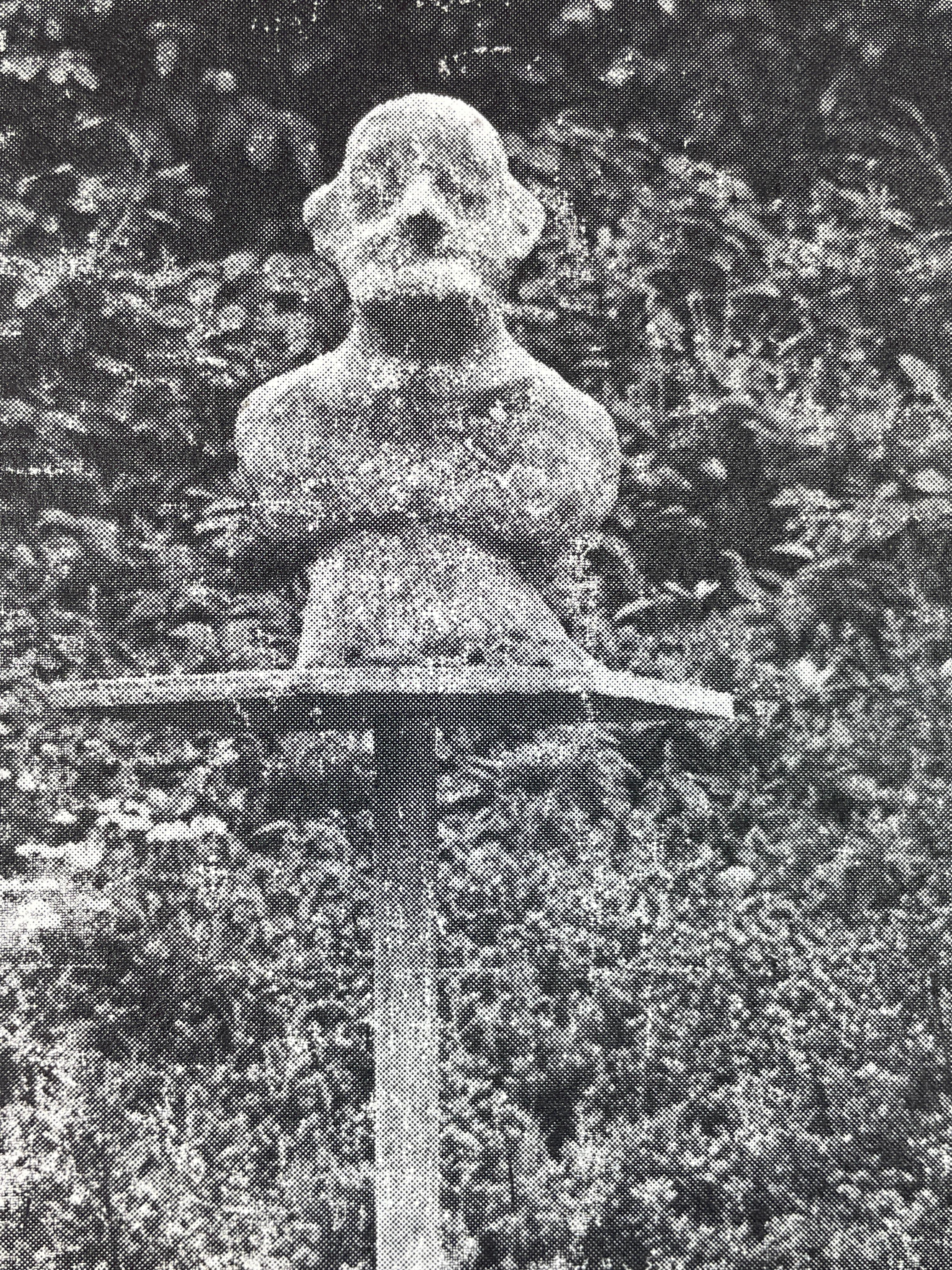 Po th A a Vfb (Portrait of the Artist as Vogelfutterbüste) by Dieter Roth For Sale 2