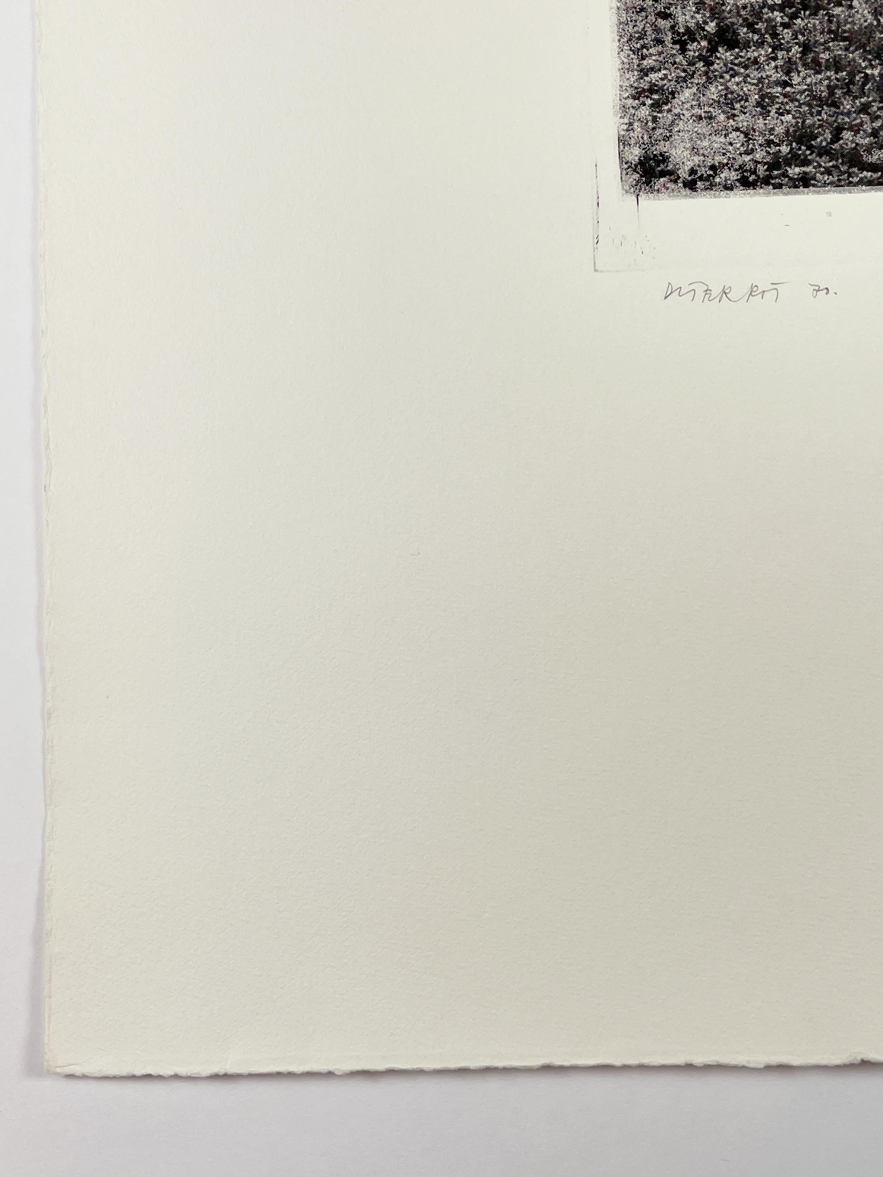 Po th A a Vfb (Portrait of the Artist as Vogelfutterbüste) by Dieter Roth For Sale 3