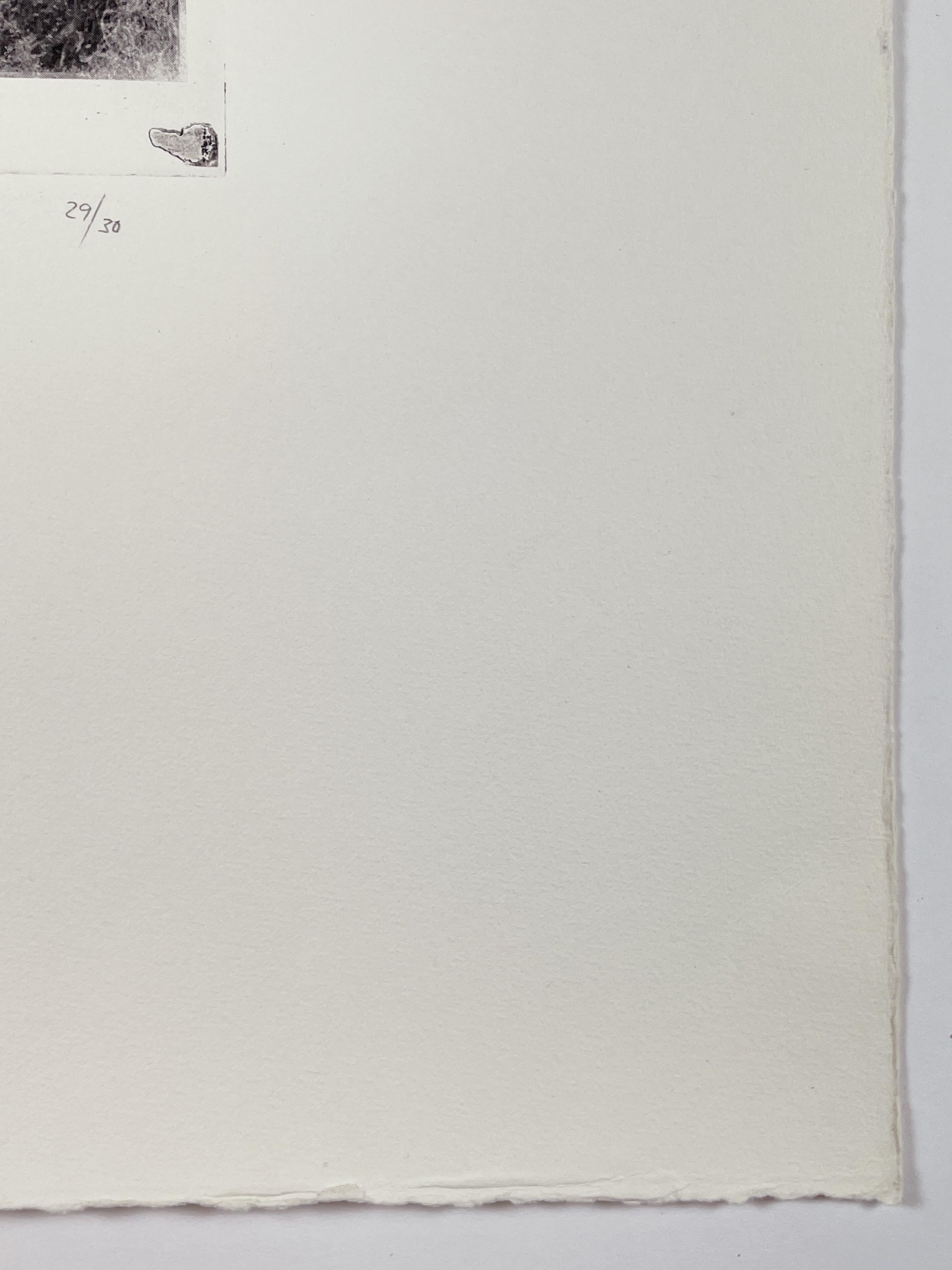 Po th A a Vfb (Portrait of the Artist as Vogelfutterbüste) by Dieter Roth For Sale 4