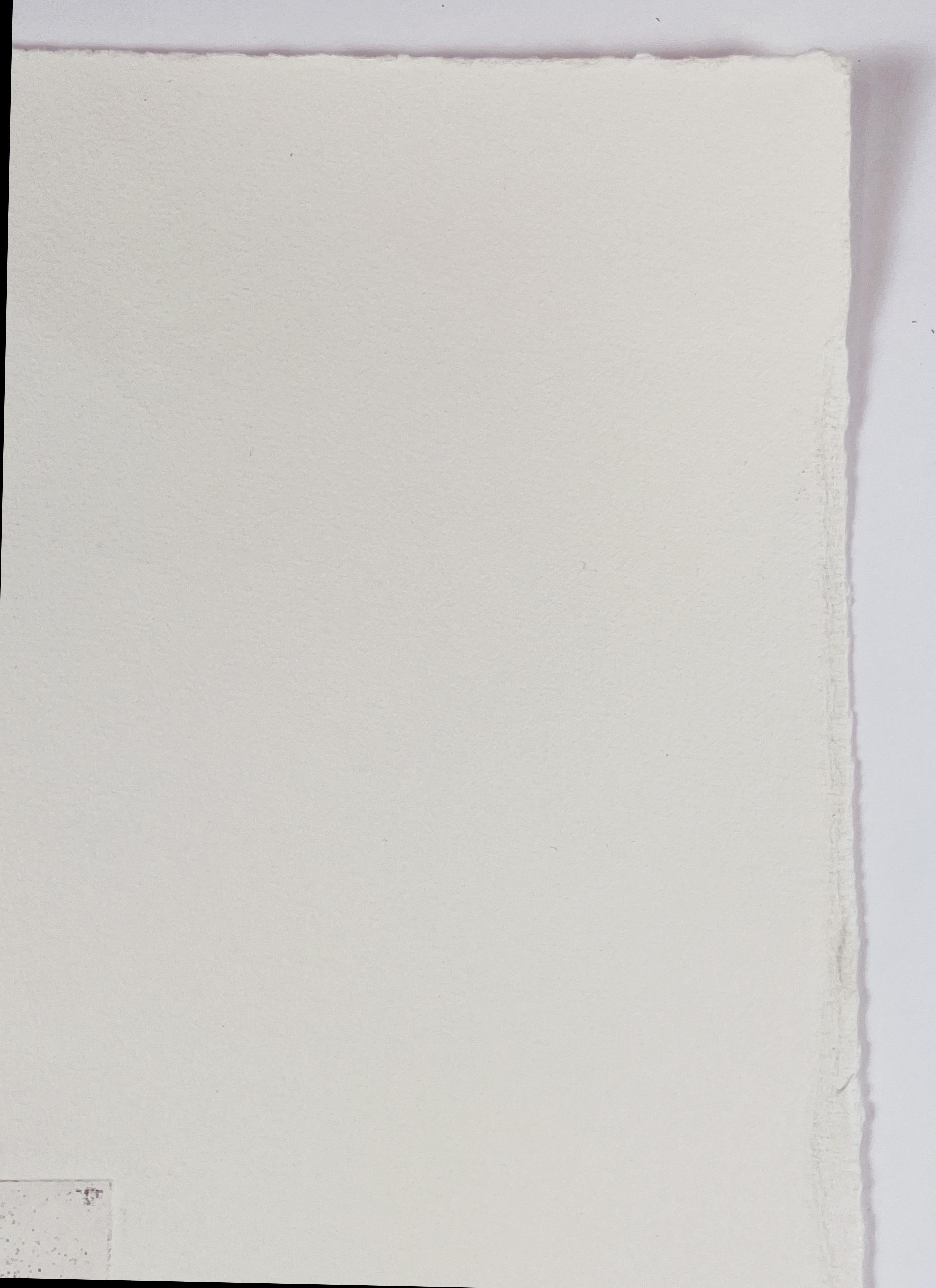 Po th A a Vfb (Portrait of the Artist as Vogelfutterbüste) by Dieter Roth For Sale 6