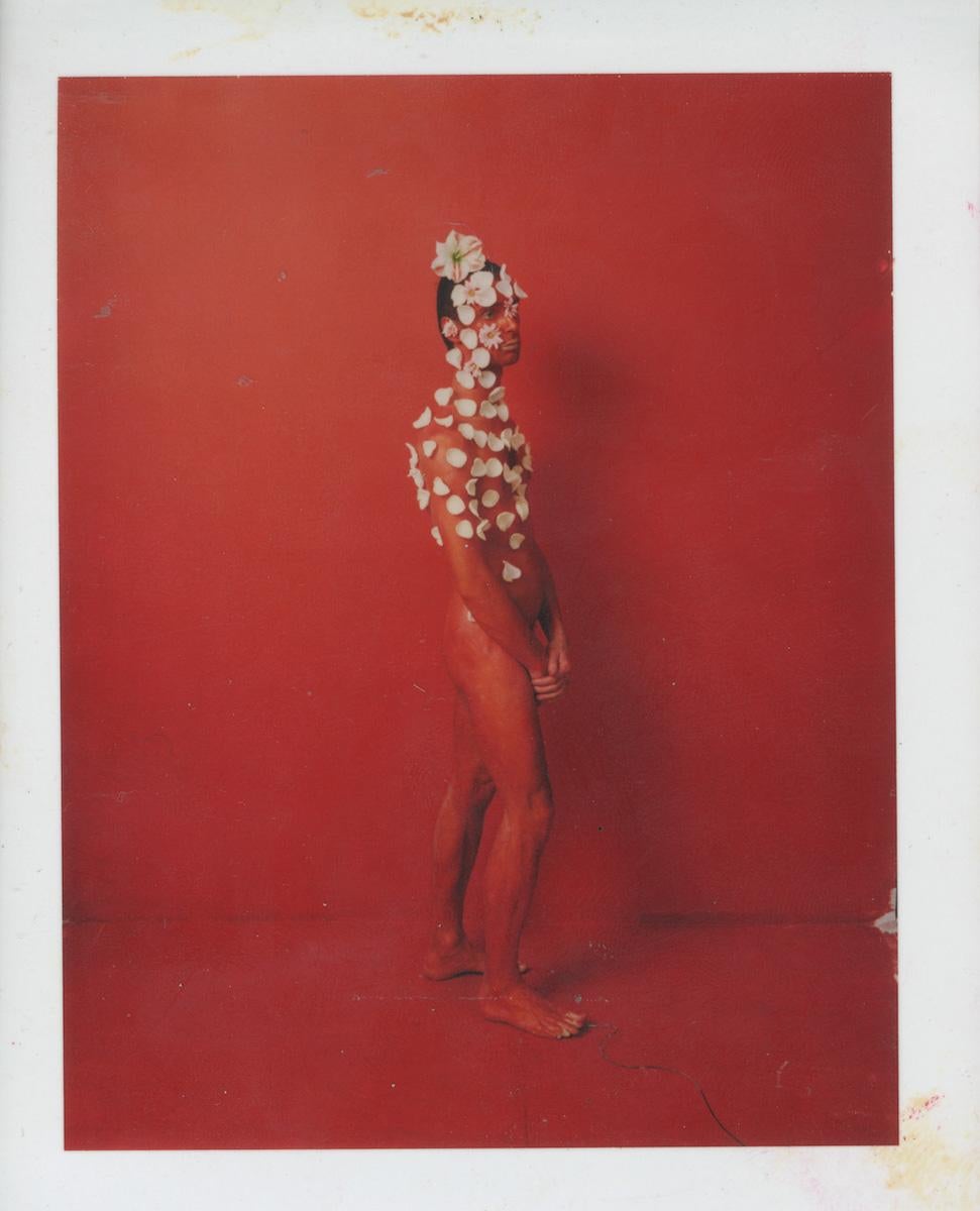 Rojo, diciembre, Autorretrato Polaroid único de Dietmar Busse. 

Rojo, diciembre 
2001

Firmado y numerado en tinta negra, verso

Polaroid (Única)

5 x 4 pulgadas, imagen

Póngase en contacto con la galería para consultar el precio.