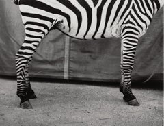 Silver Gelatin Black and White Photography