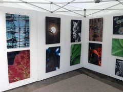 Blue Spider Web Digital Photograph Print by Dave Lasker