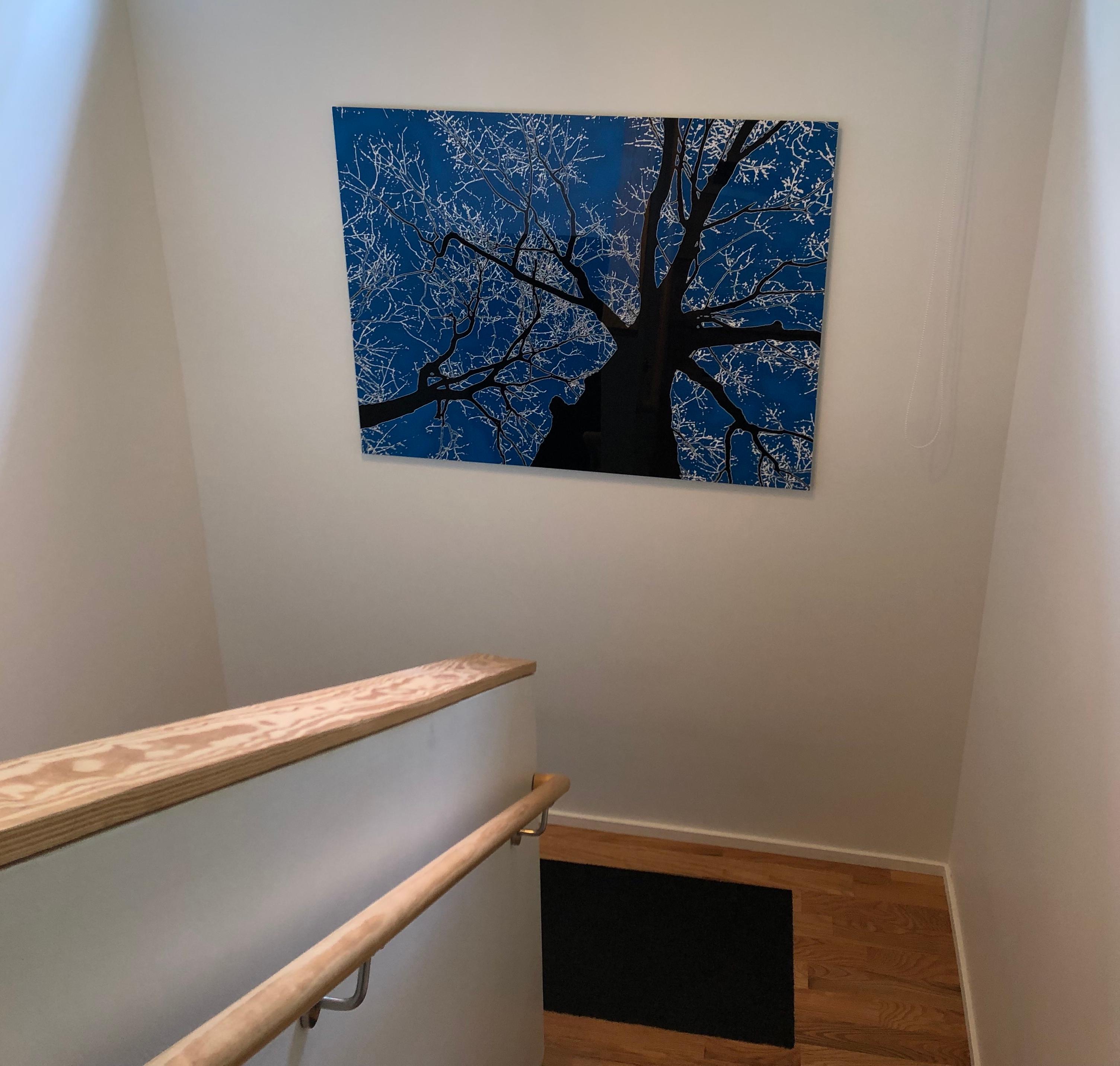 Winter Tree Silhouette on Blue Digital Photographic Print by Dave Lasker In New Condition For Sale In Atlanta, GA