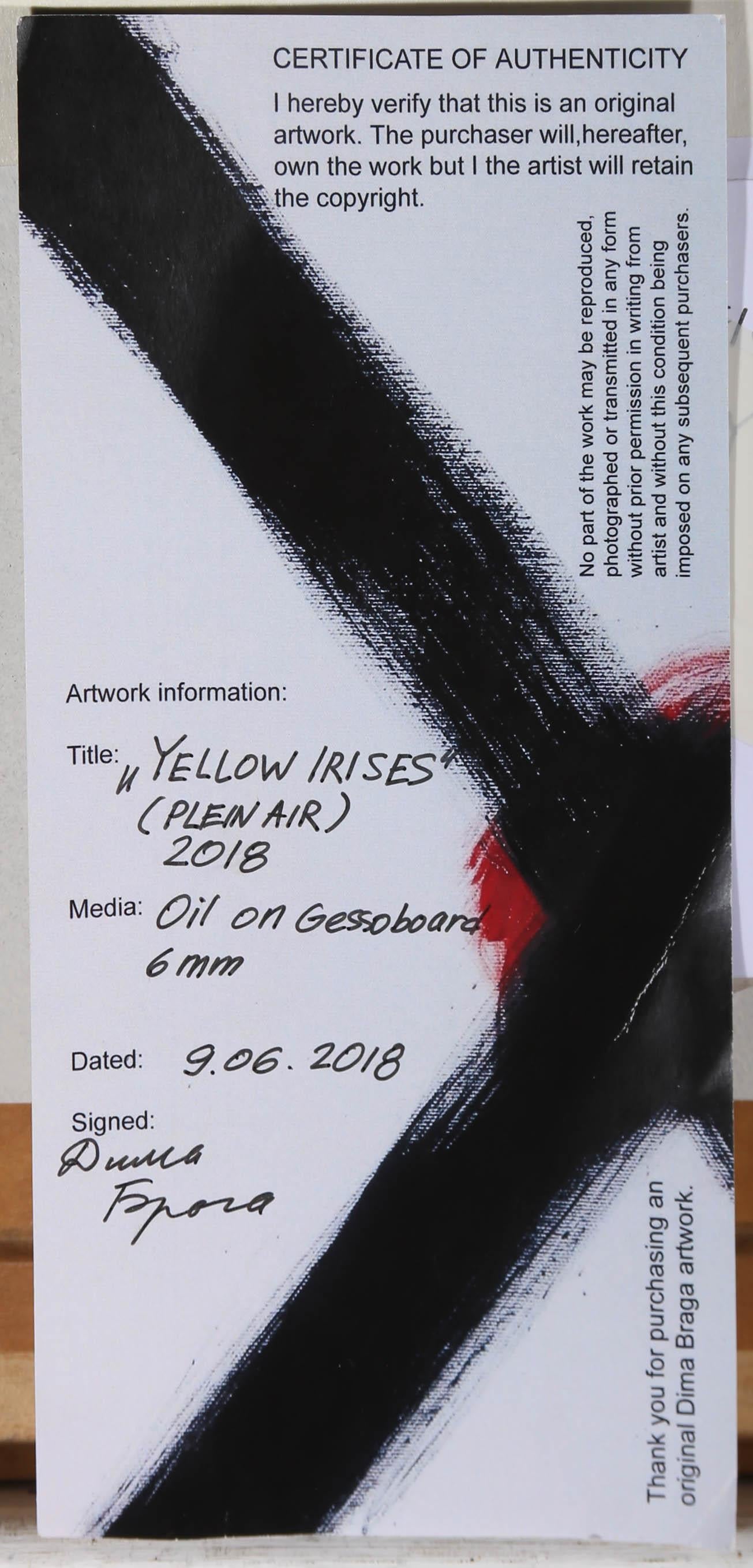 Dima Braga - Framed Ukrainian School Contemporary Oil, Yellow Irises For Sale 3