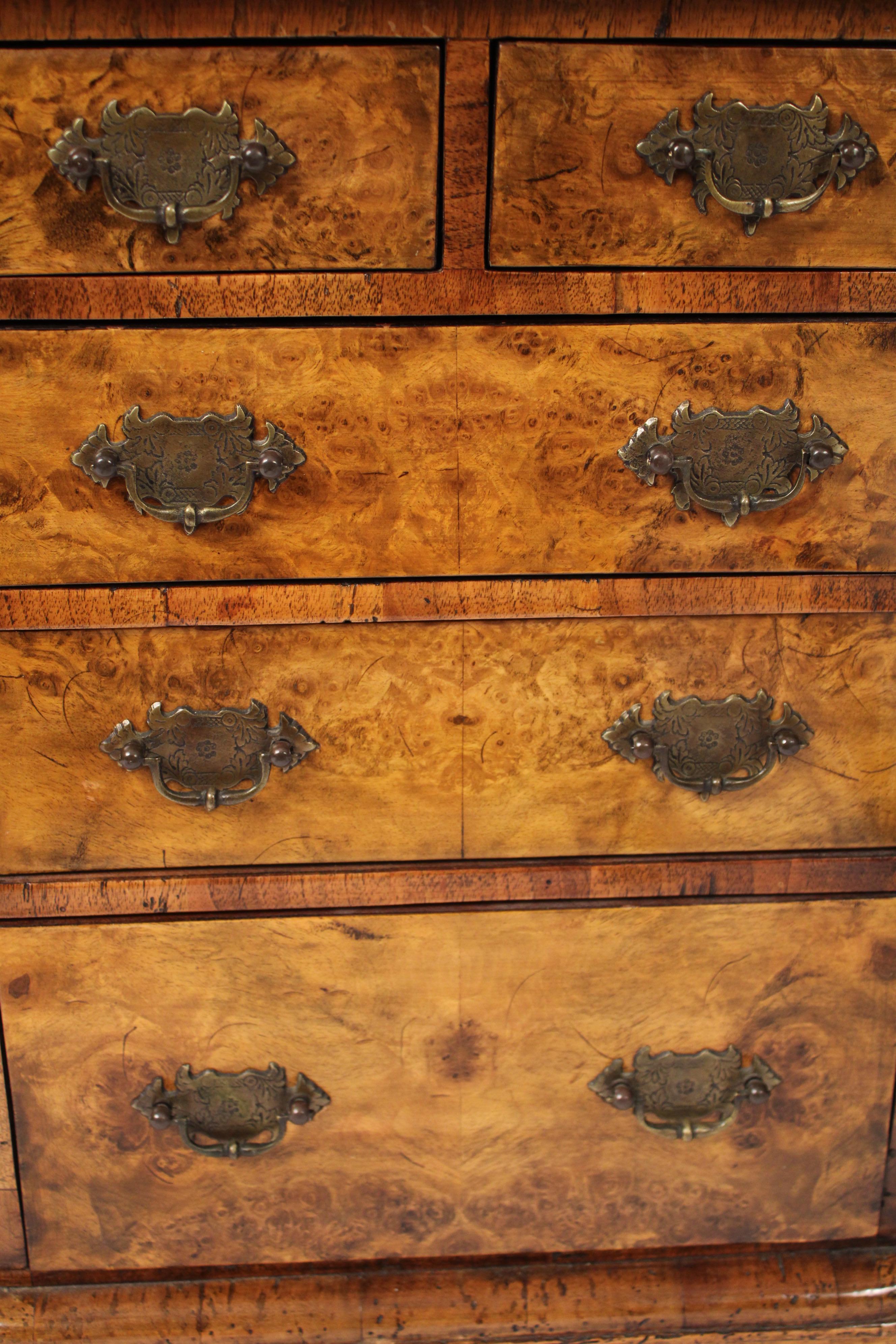 Brass Diminutive Thuya and Burl Walnut Chest of Drawers For Sale