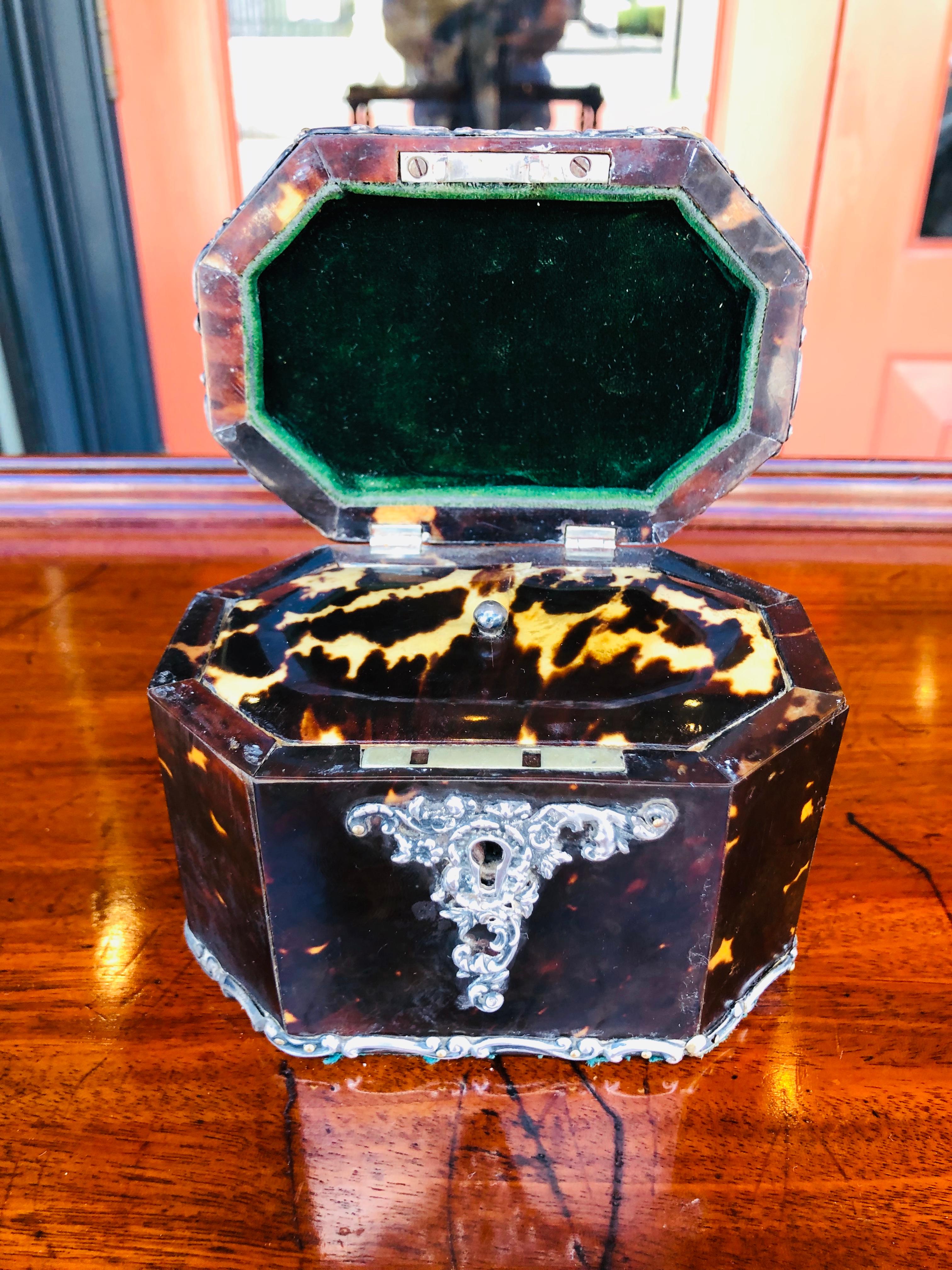 Diminutive English Tea Caddy of Tortoise Shell with Sterling Silver Mounts 1