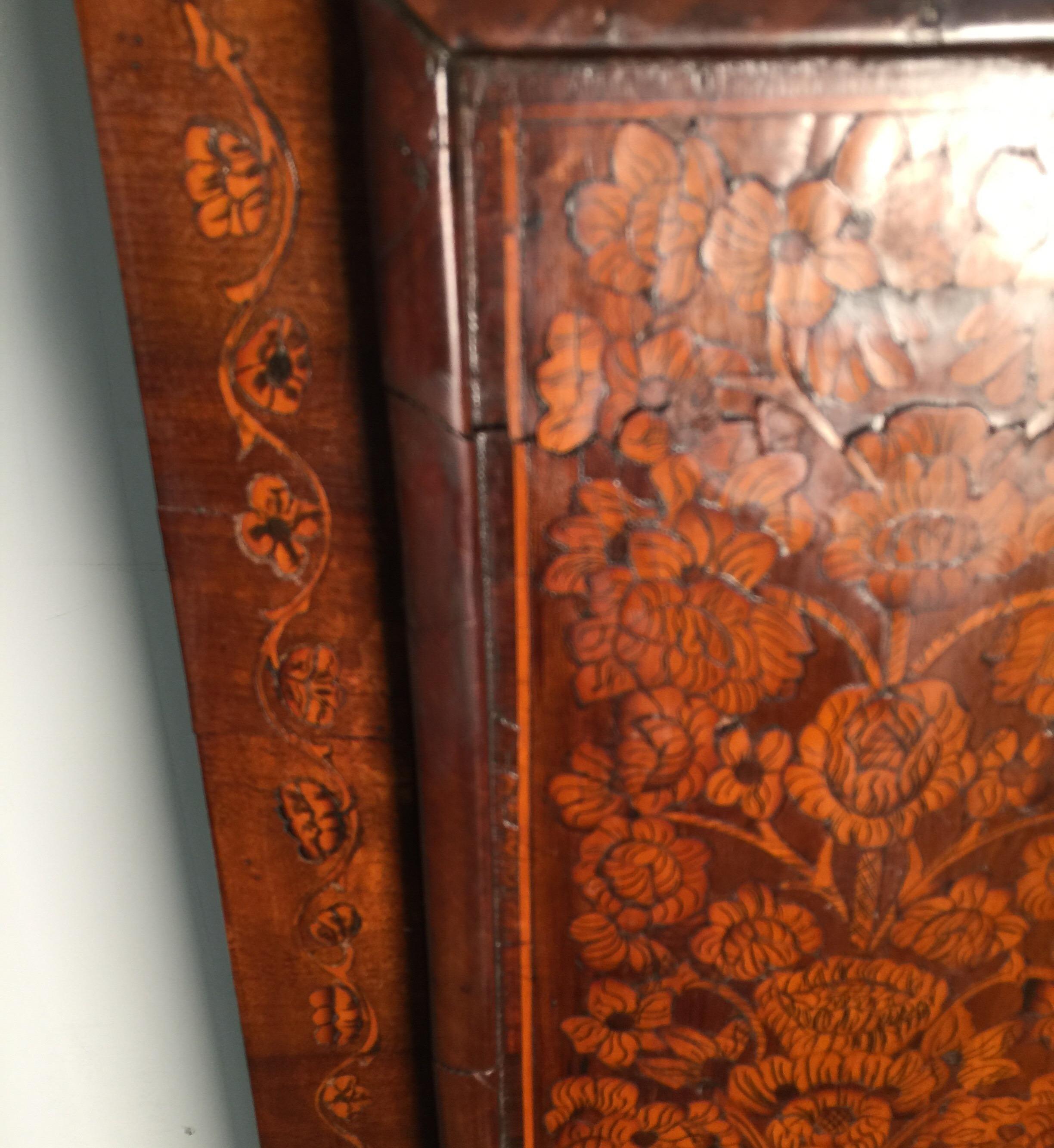description of one of the diminutive clock family