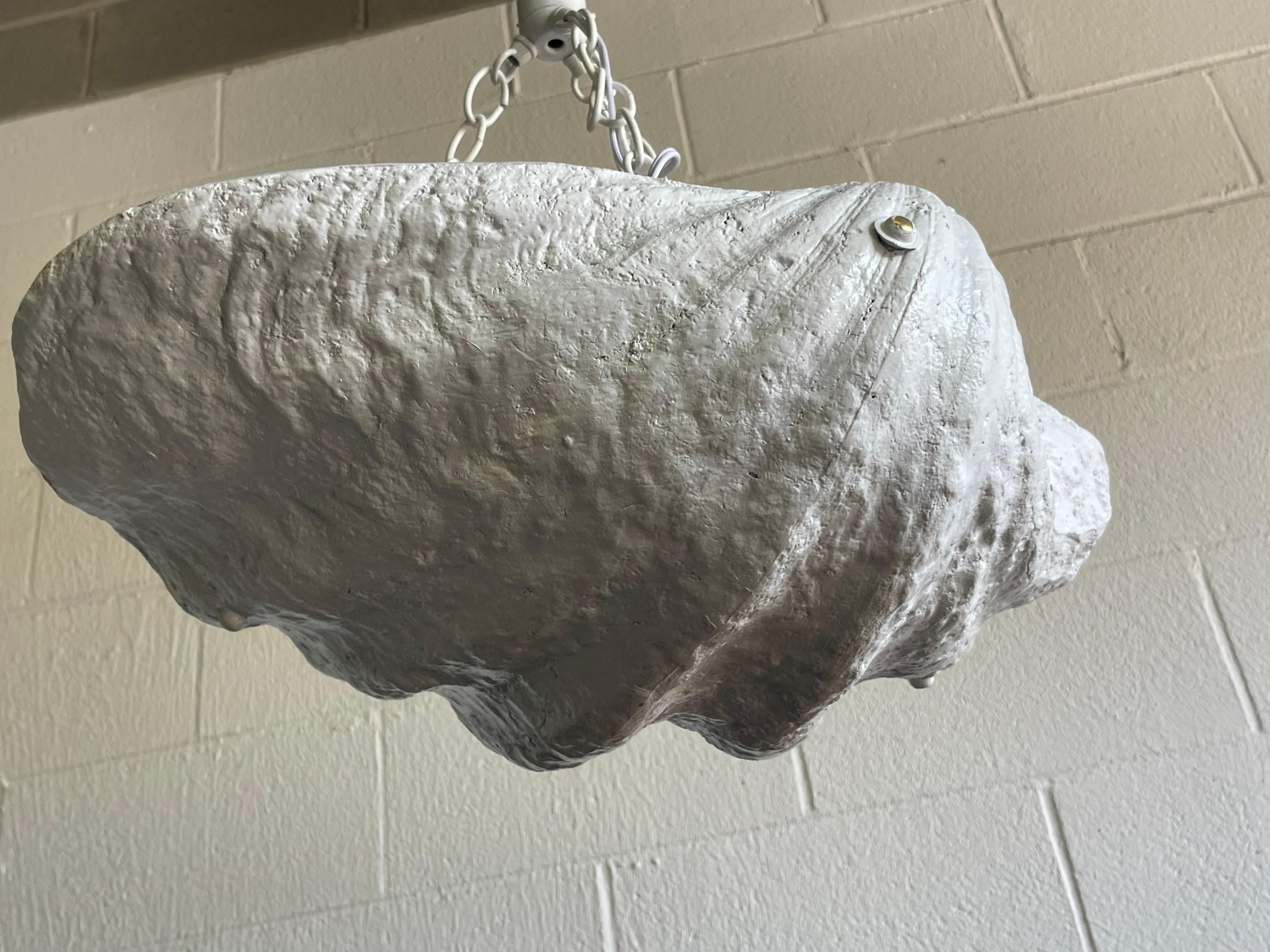 clam shell pendant light