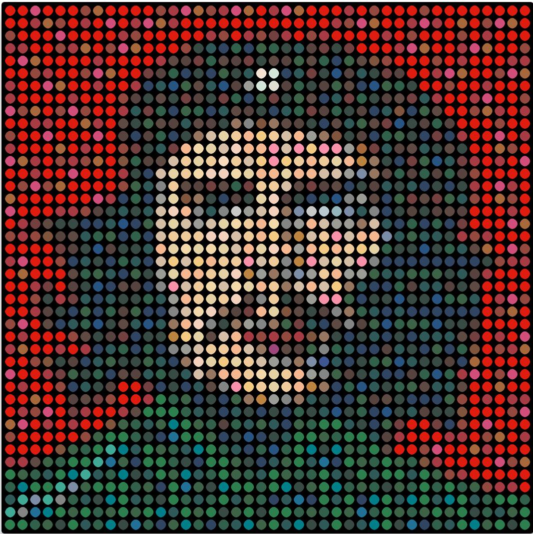 Dimitri Likissas - Che Guevara, Quadro 2022