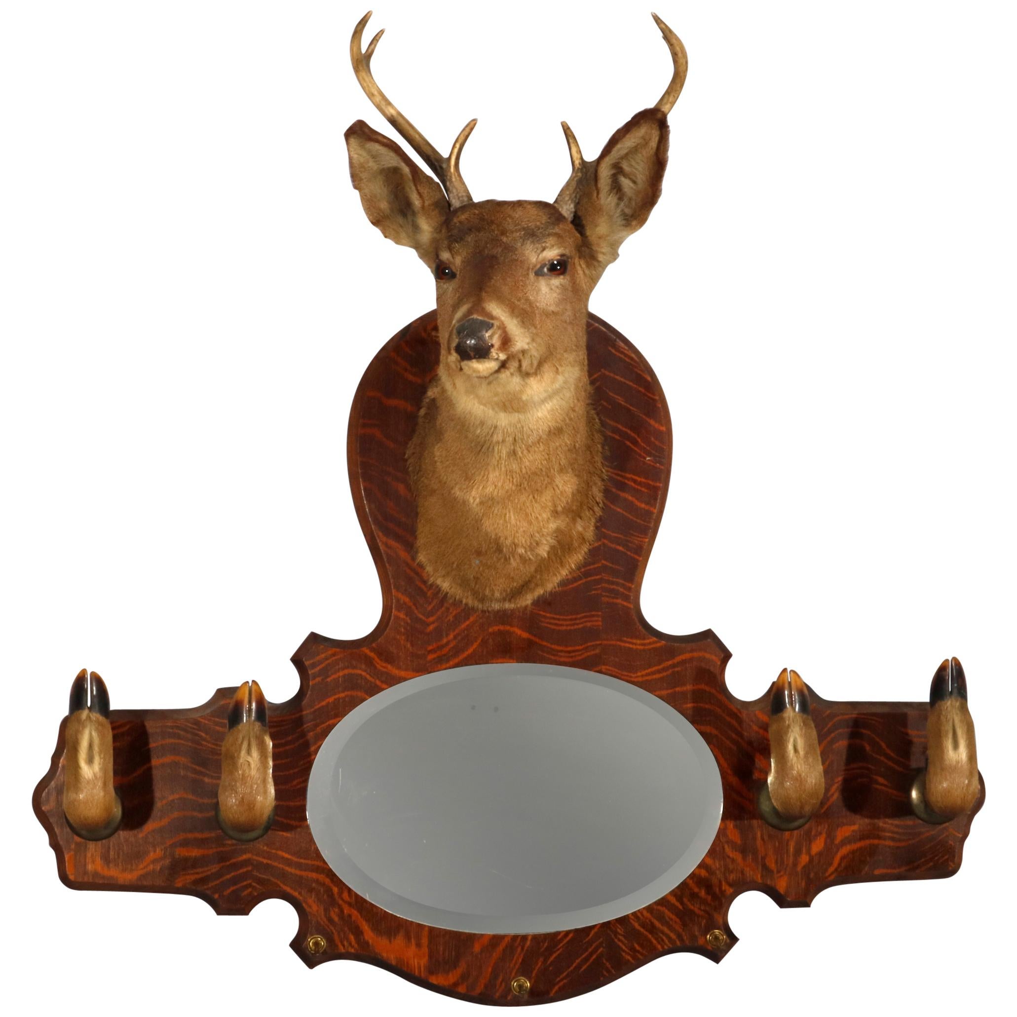 DIMS Vintage Taxidermy Deer Wall Mount Hat Rack with Mirror, circa 1940