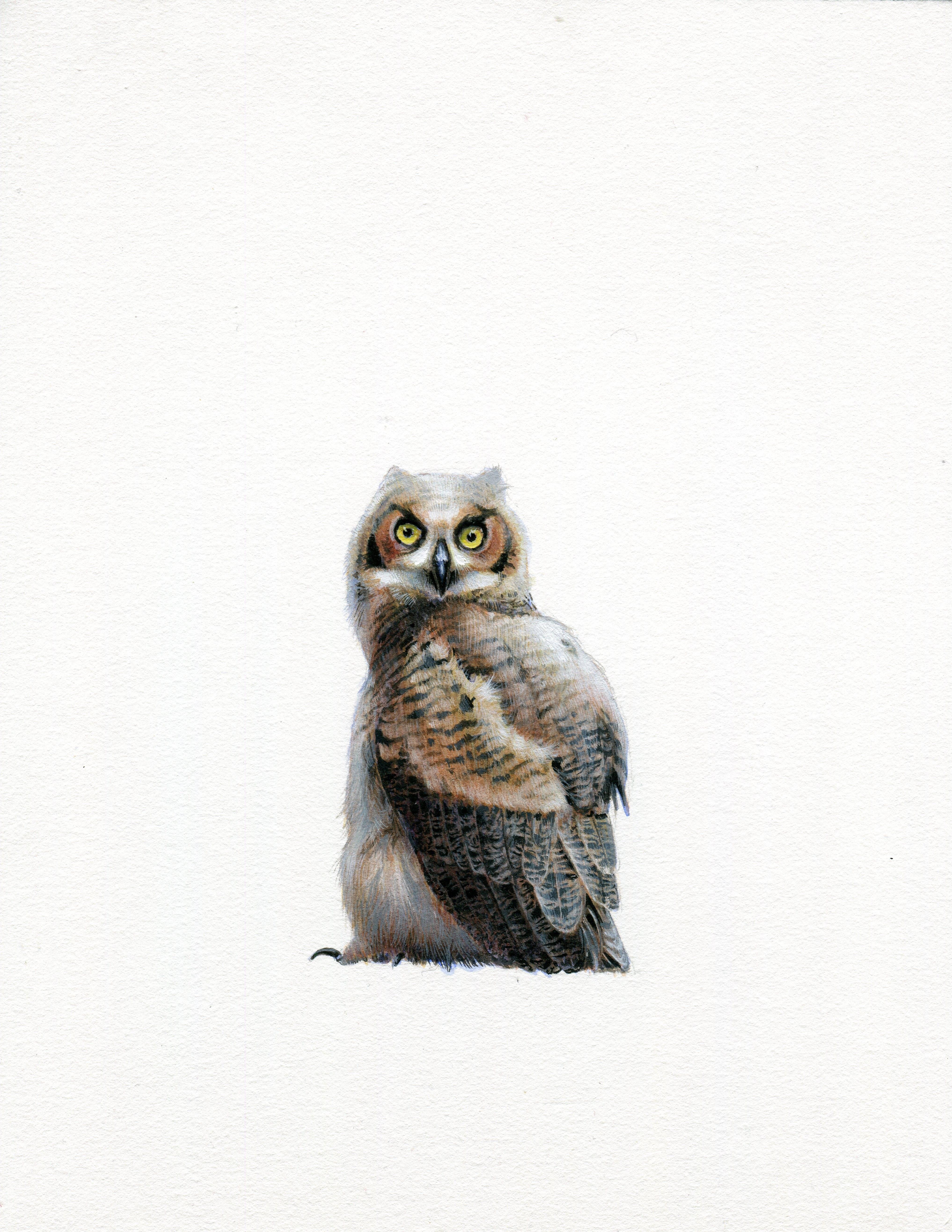 Dina Brodsky's realist gouache on paper miniature, "Beacon Dawn," 2018, depicts a large owl, looking sharply over its shoulder and directly out at the viewer. Brodsky's impeccable handling of the gouache is showcased in the highly varied and