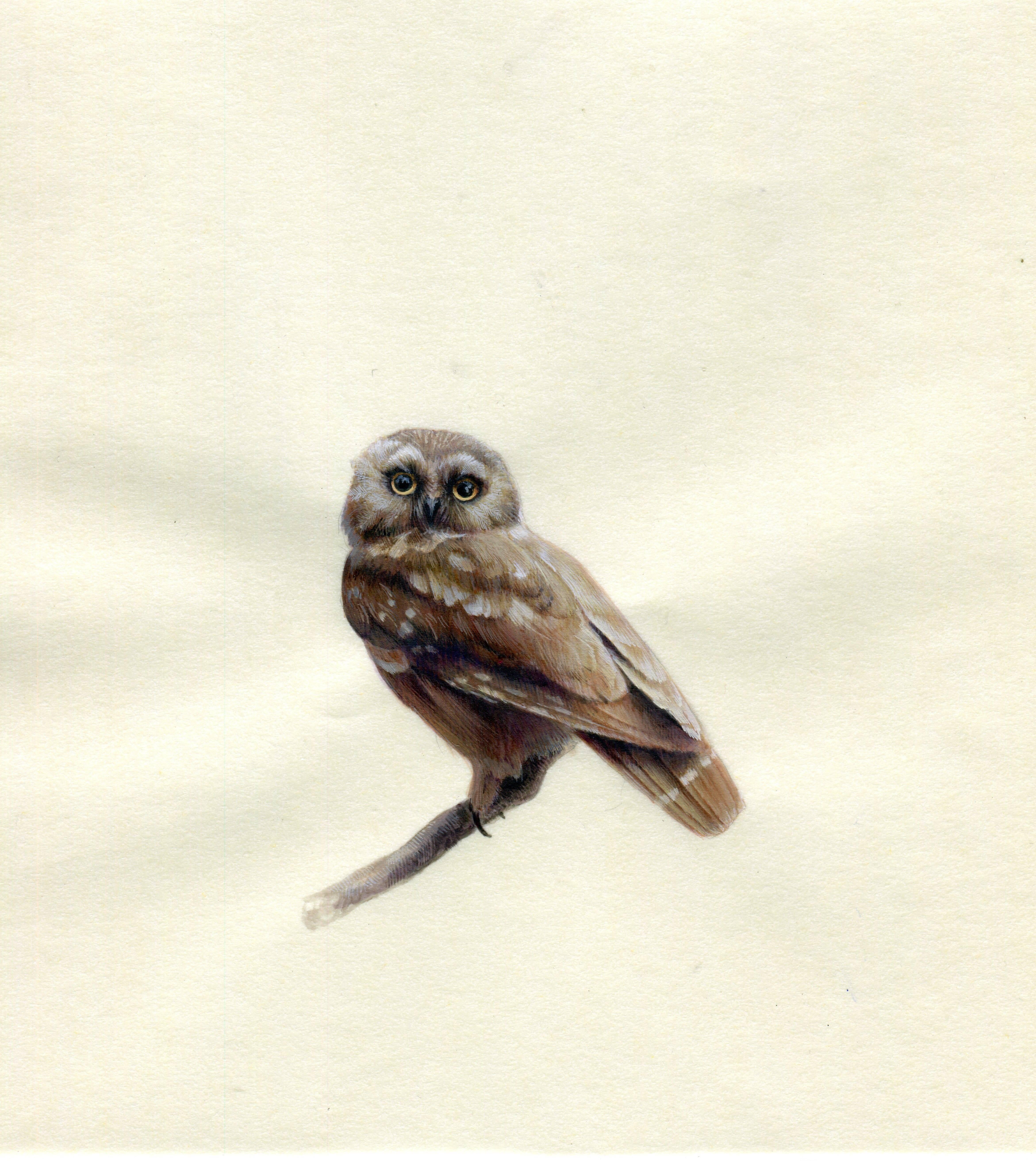 In her realist gouache on paper miniature, "Owl," 2018, Dina Brodsky imbues her subject with sensitivity. Brodsky's highly detailed treatment of the owl's plumage, particularly around its eyes, renders its face highly expressive, almost as if it