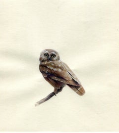 Dina Brodsky, Owl, Realist gouache on paper miniature, 2018
