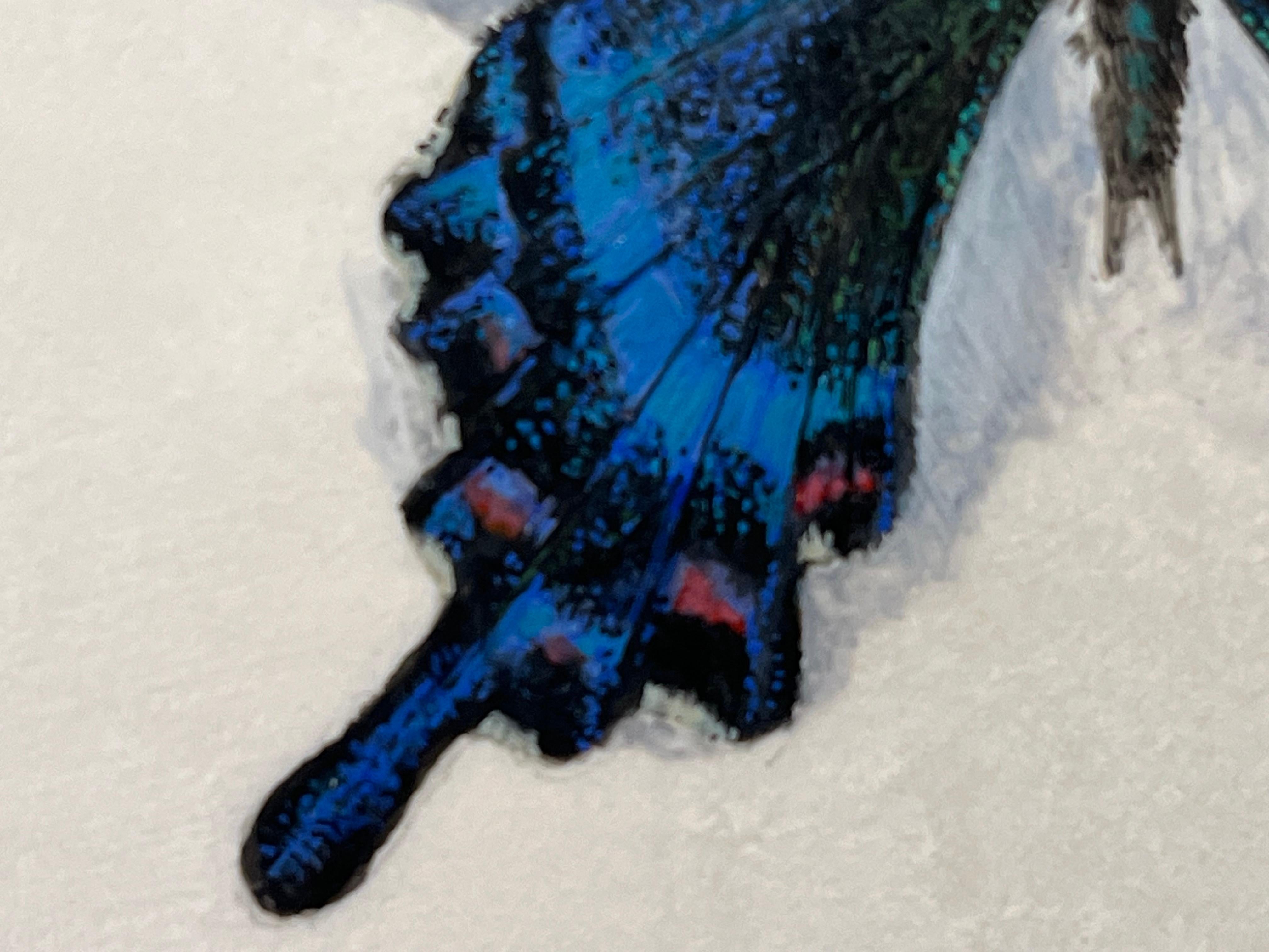 La miniatura di una farfalla di Dina Brodsky è uno studio magistrale della fragilità e della bellezza della natura. Meticolosamente realizzato su pannello, il pezzo cattura lo scintillante gioco di blu e verdi iridescenti, conferendo alle delicate
