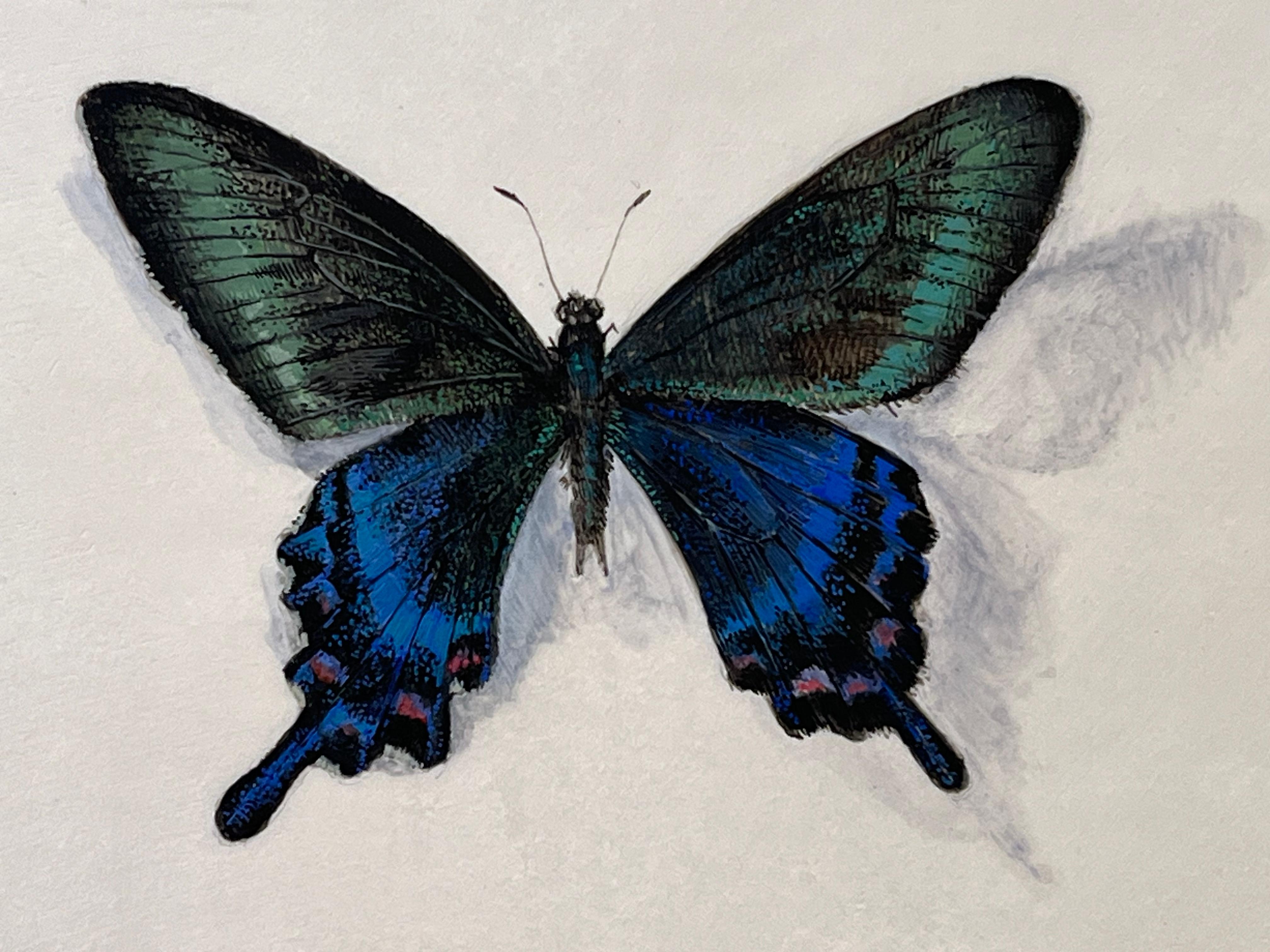 Farfalla, piccolo pannello dipinto di farfalla blu e verde con dettagli intricati