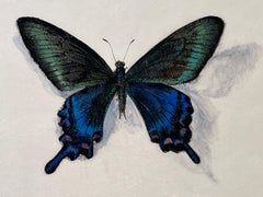 Butterfly, petite peinture sur panneau de papillon bleu et vert avec détails complexes