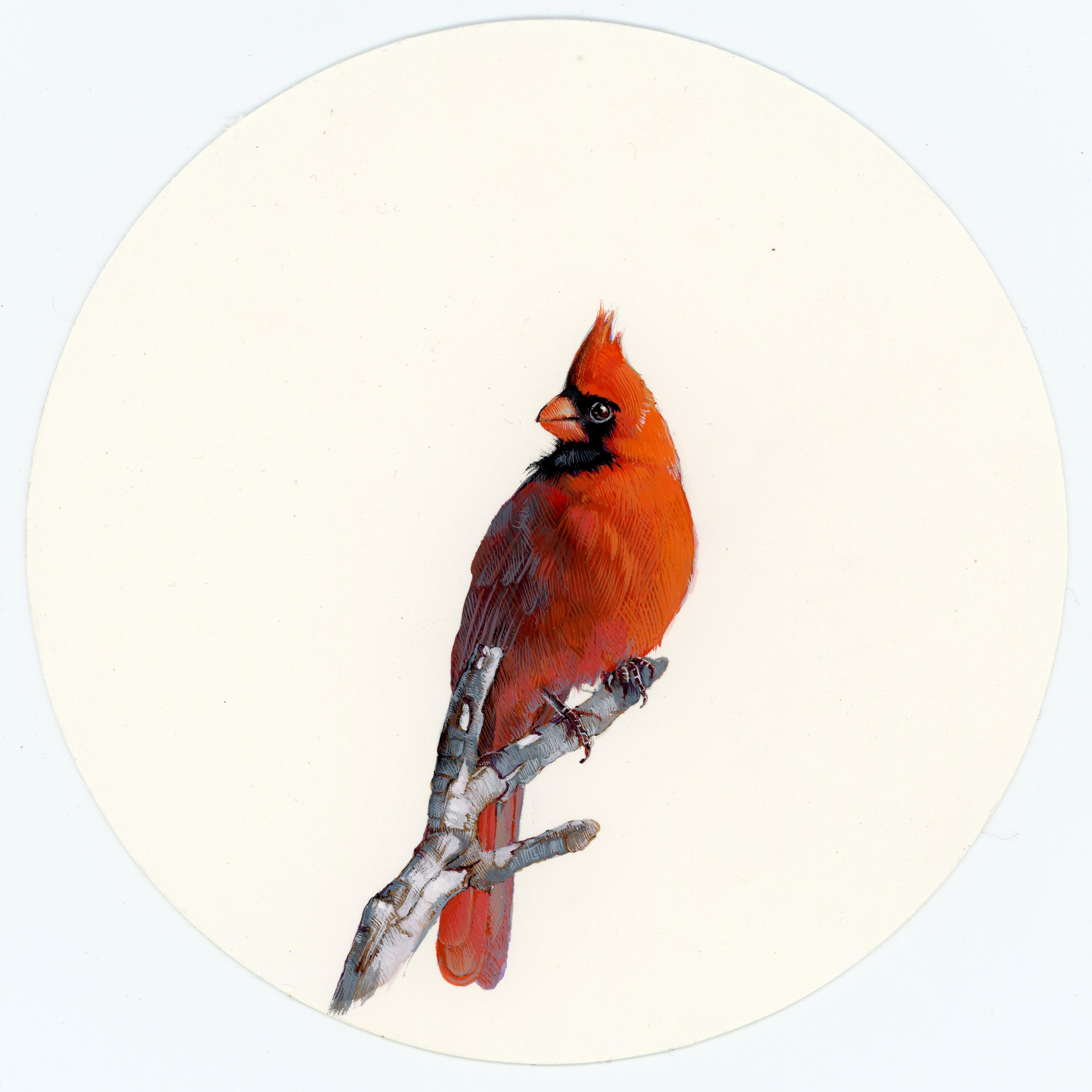Cardenal 1, gouache realista sobre papel retrato de ave en miniatura - Painting de Dina Brodsky