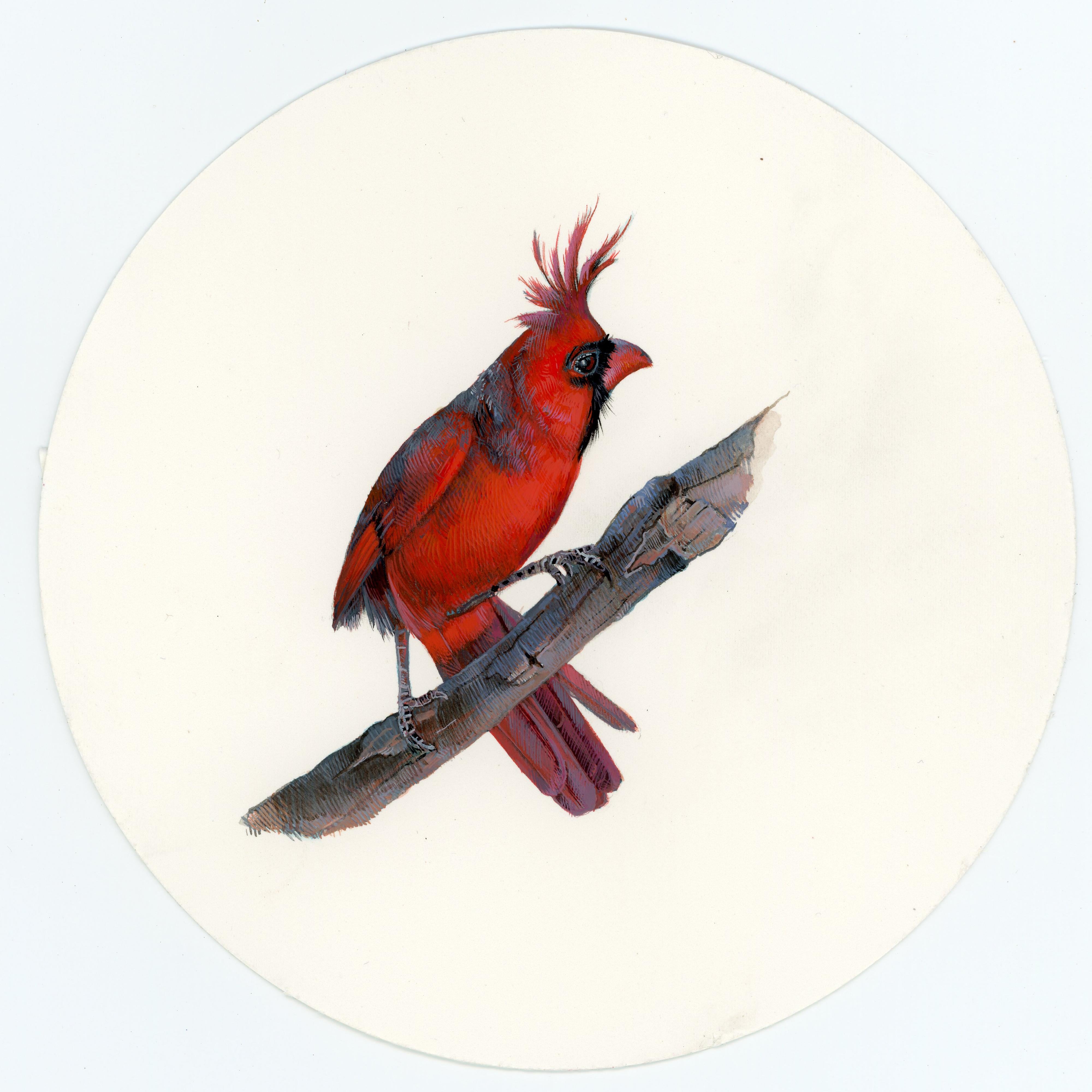 Cardinal 2, realist gouache on paper miniature bird portrait, 2023 - Painting by Dina Brodsky