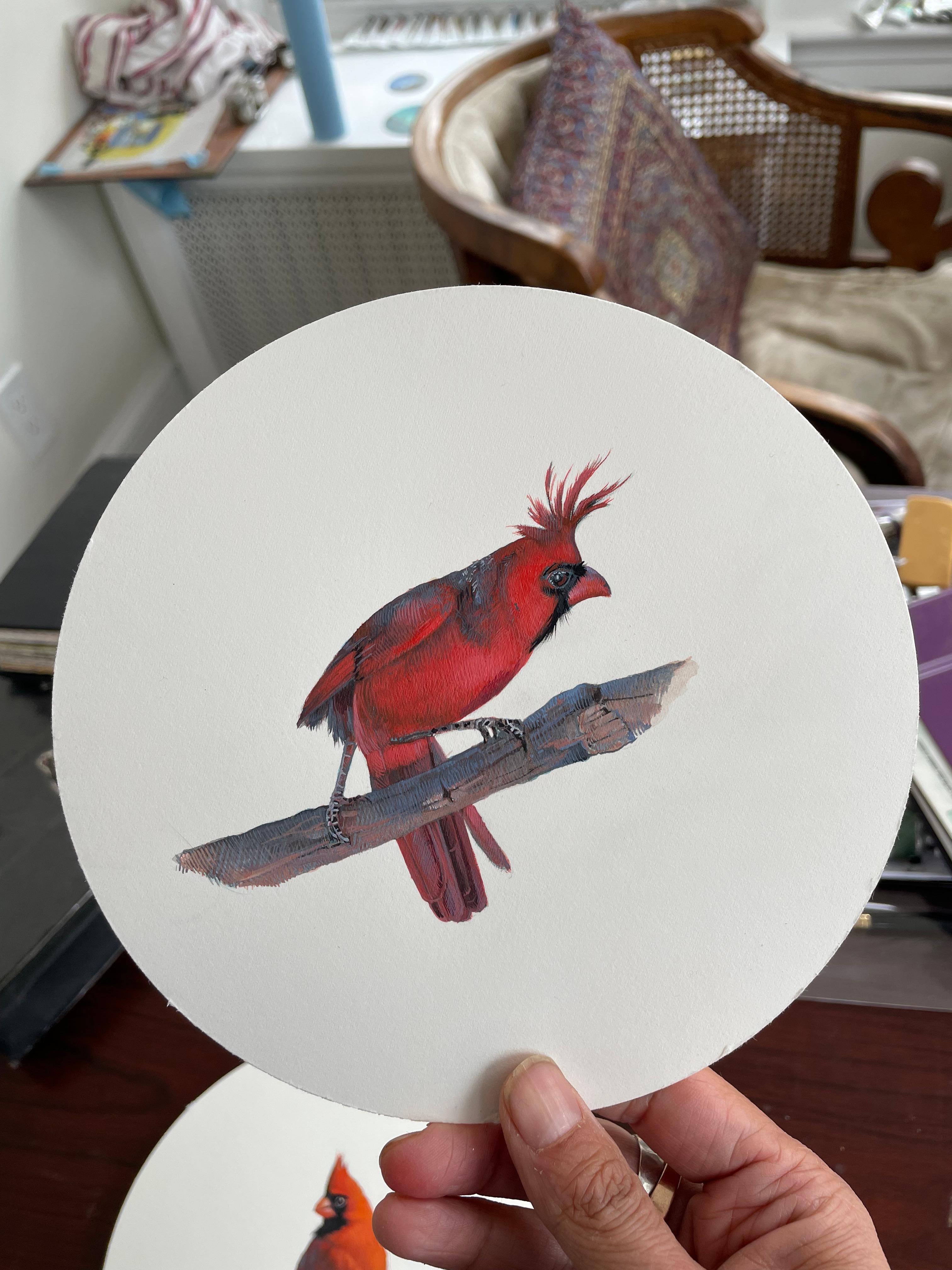 Cardinale 2, gouache realista su carta, ritratto di uccello in miniatura, 2023 - Painting Realismo americano di Dina Brodsky