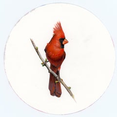 Cardinal 3, realist gouache on paper miniature bird portrait
