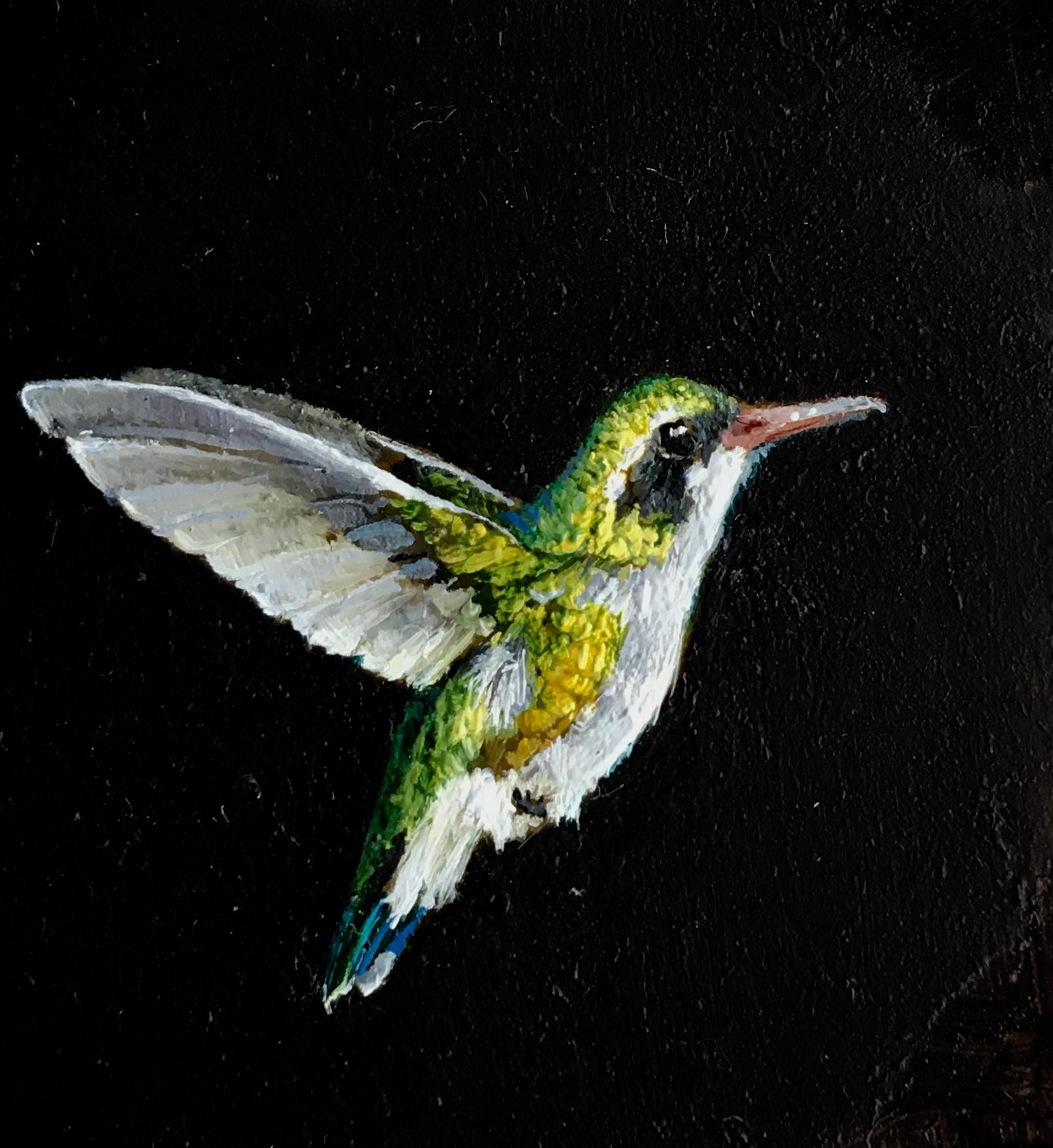 miniature hummingbird