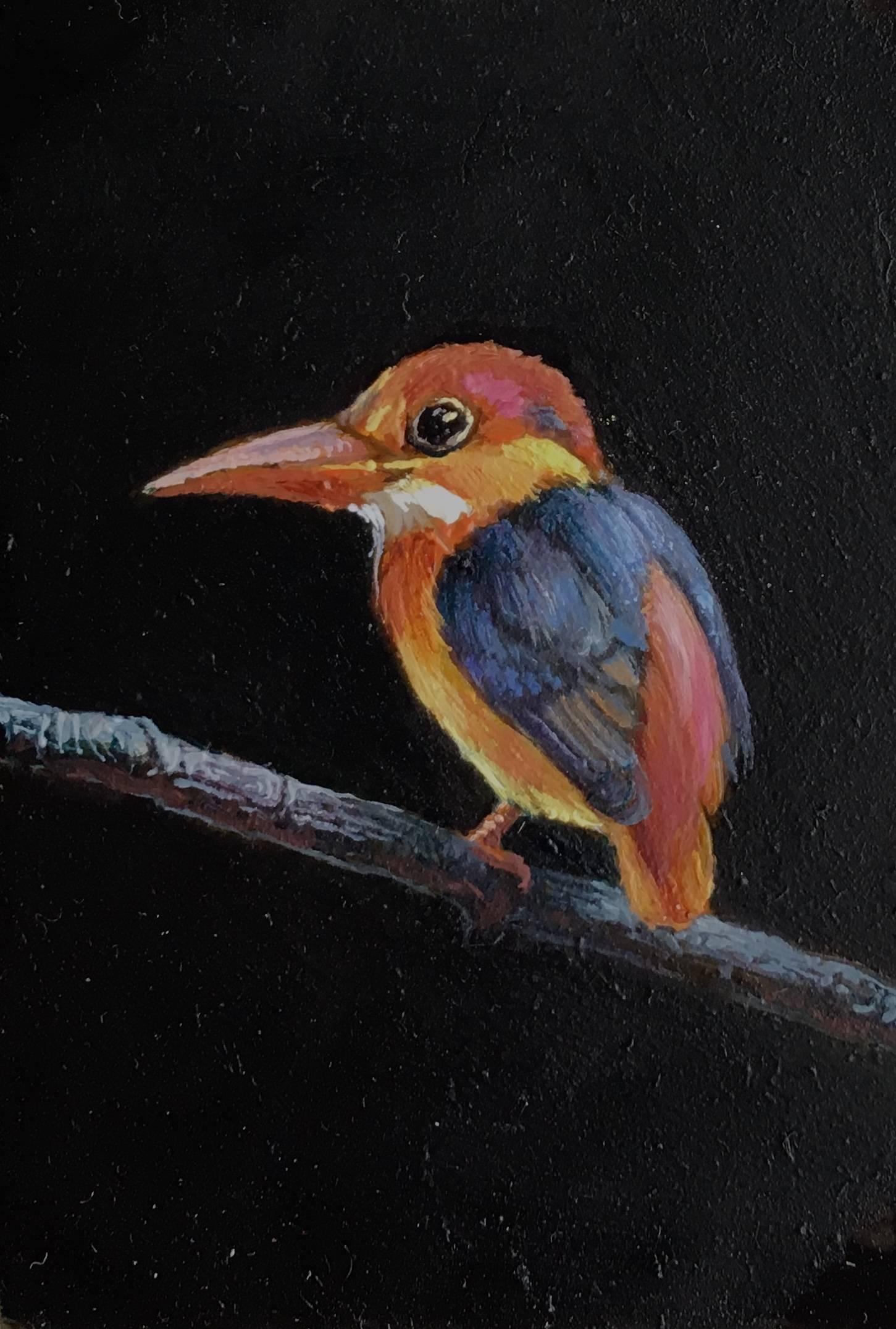 Image size: 2.25 x 1.5 in.
Display size: 5 x 5 in.

Dina Brodsky's realist oil on mylar miniature, "King Fisher," 2018, depicts a tiny multi-hued King Fisher perched on a small branch. The bird's brilliantly saturated crimson, royal blue, and gold
