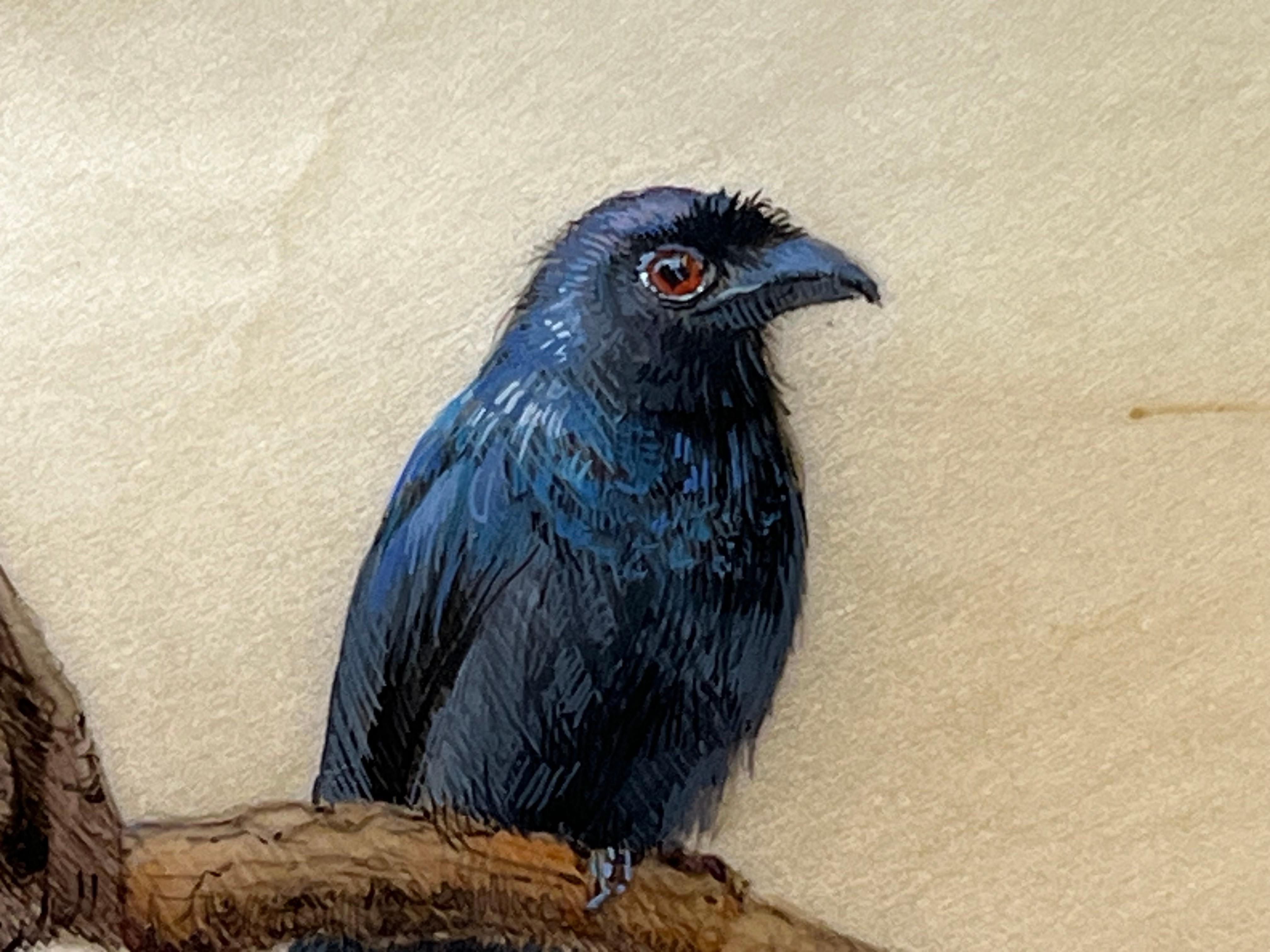 Drongo - Painting de Dina Brodsky