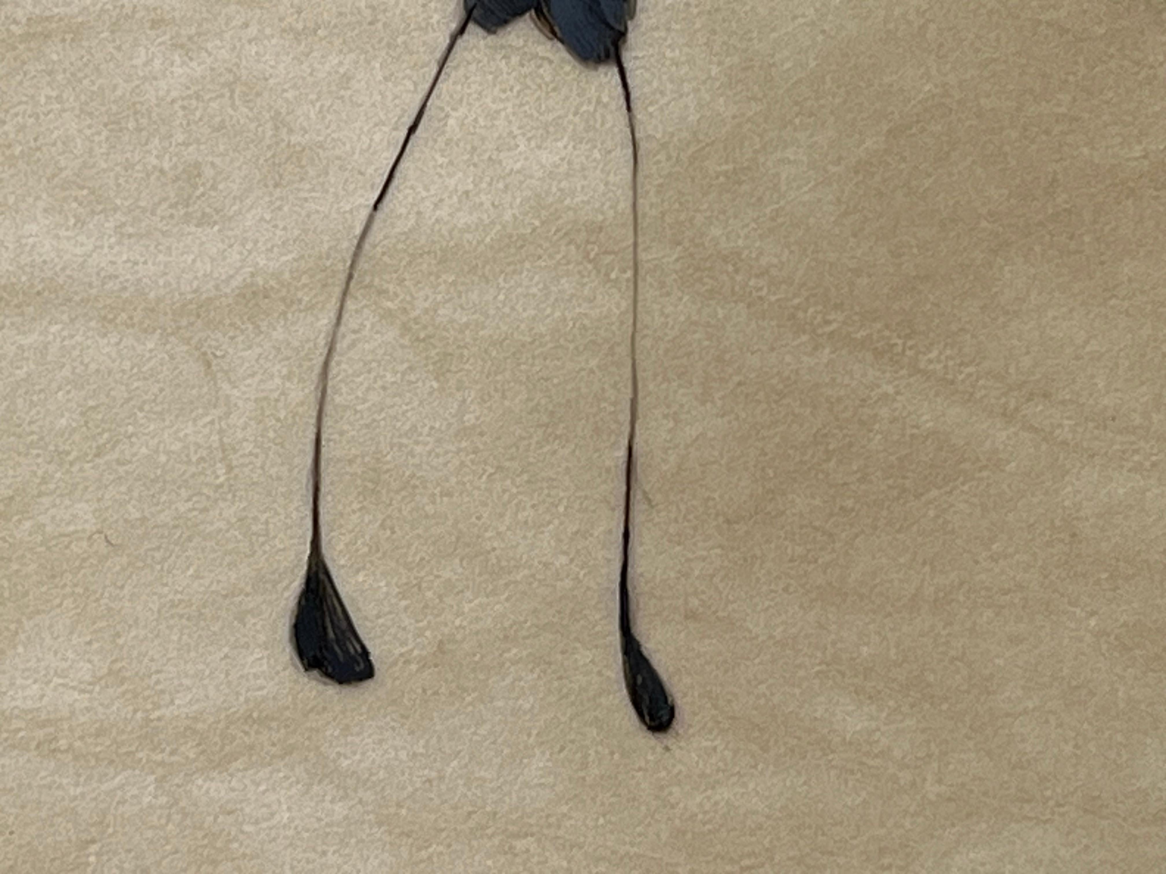 Drongo - Painting Realista de Dina Brodsky