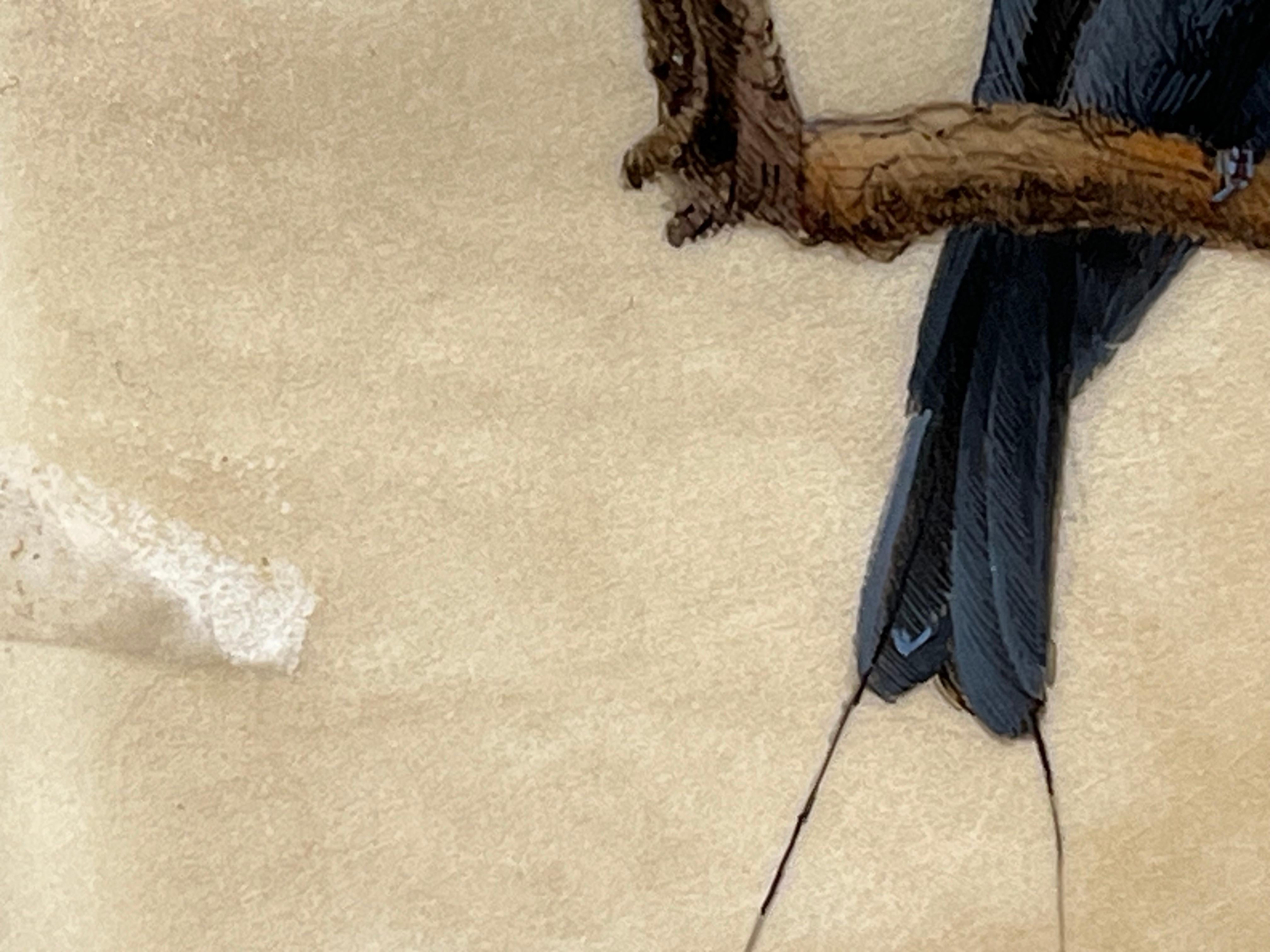 Esta exquisita pintura en miniatura de Dina Brodsky capta la llamativa presencia de un ave Drongo, realizada en aguada y acuarela sobre pergamino de becerro auténtico. Conocida por sus meticulosos detalles y superficies luminosas, Brodsky da vida