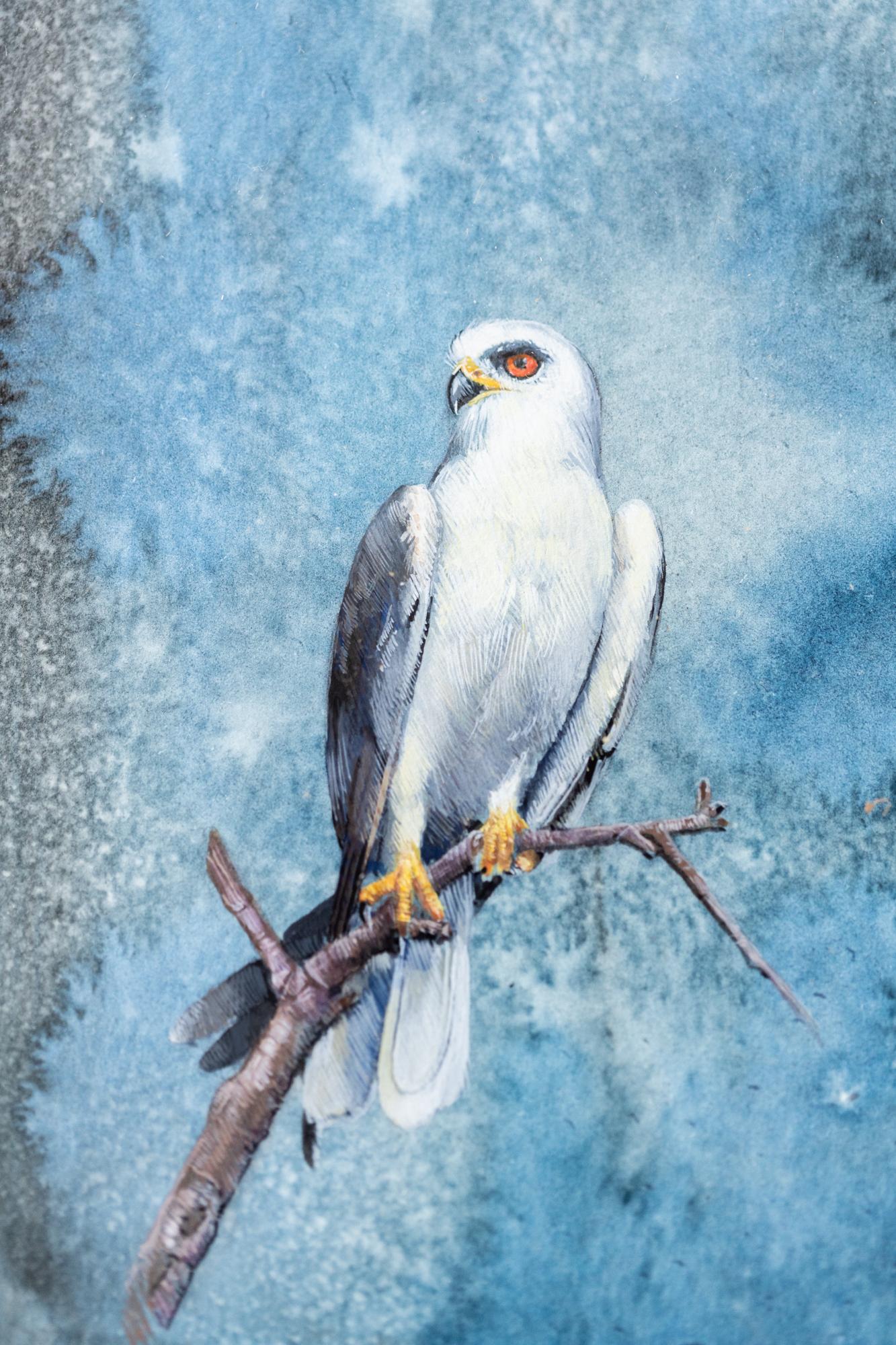 Falcon - Gray Animal Painting by Dina Brodsky