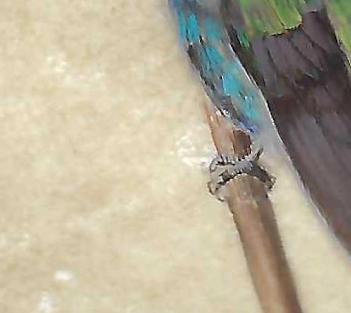 Hummingbird A Miniature Jewel-toned Colorful Realist Bird Painting - Art by Dina Brodsky