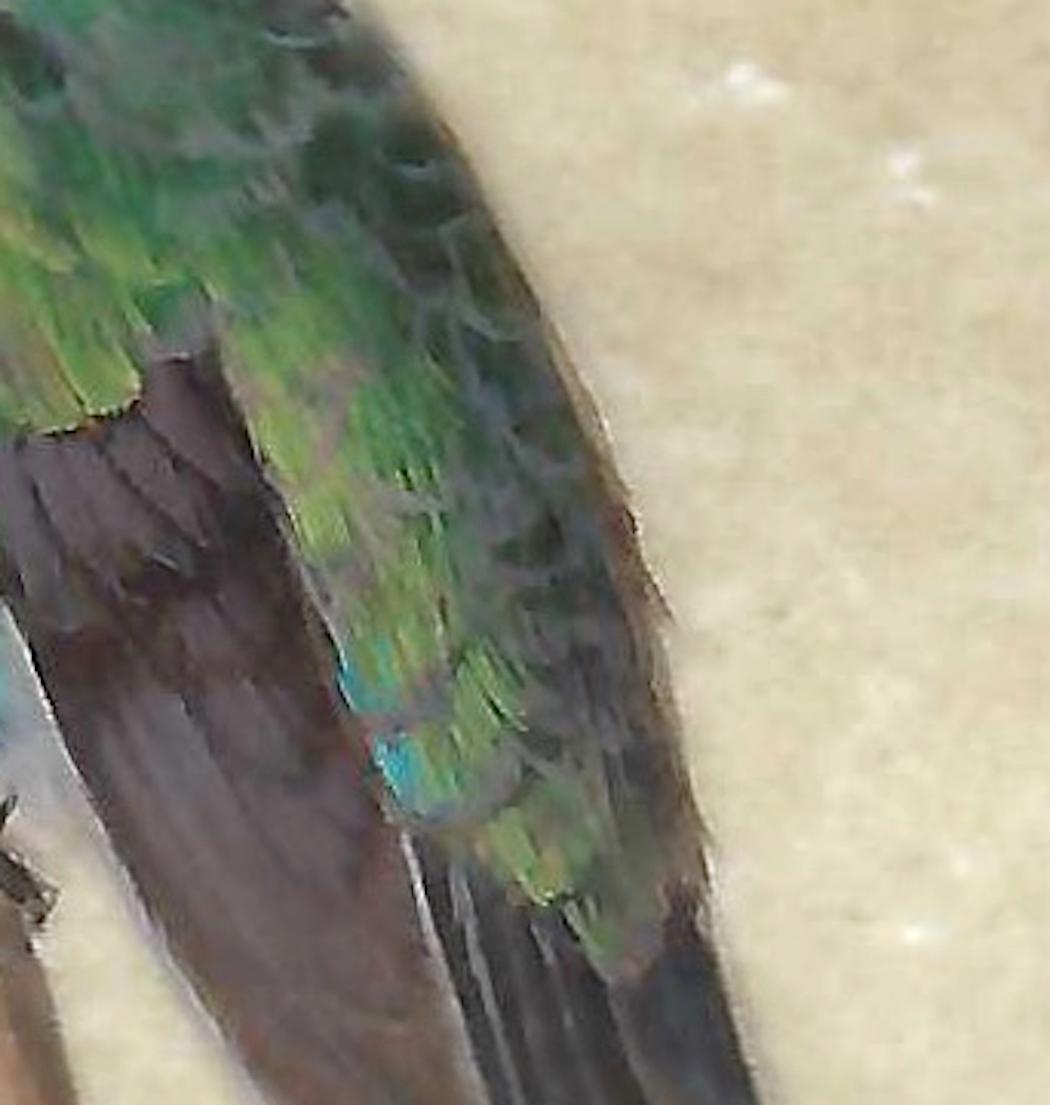 A captivating miniature painting by renowned artist Dina Brodsky, known for her masterful technique in gouache and watercolor. This exquisite work, painted on authentic animal parchment, captures the delicate energy of a hummingbird mid-flight.