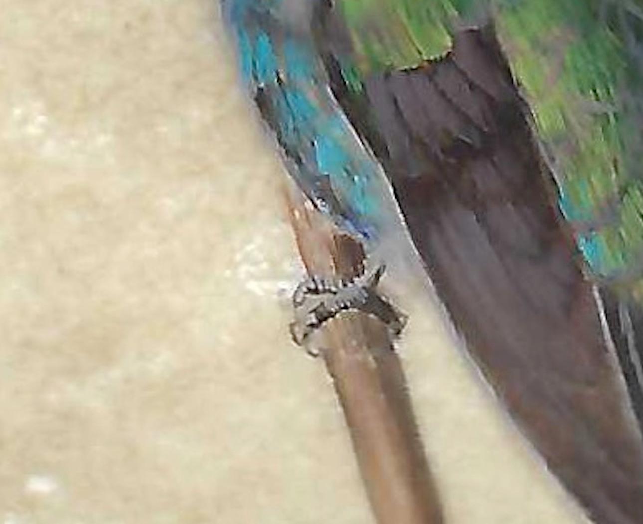 Hummingbird A Miniature Jewel-toned Colorful Realist Bird Painting For Sale 2