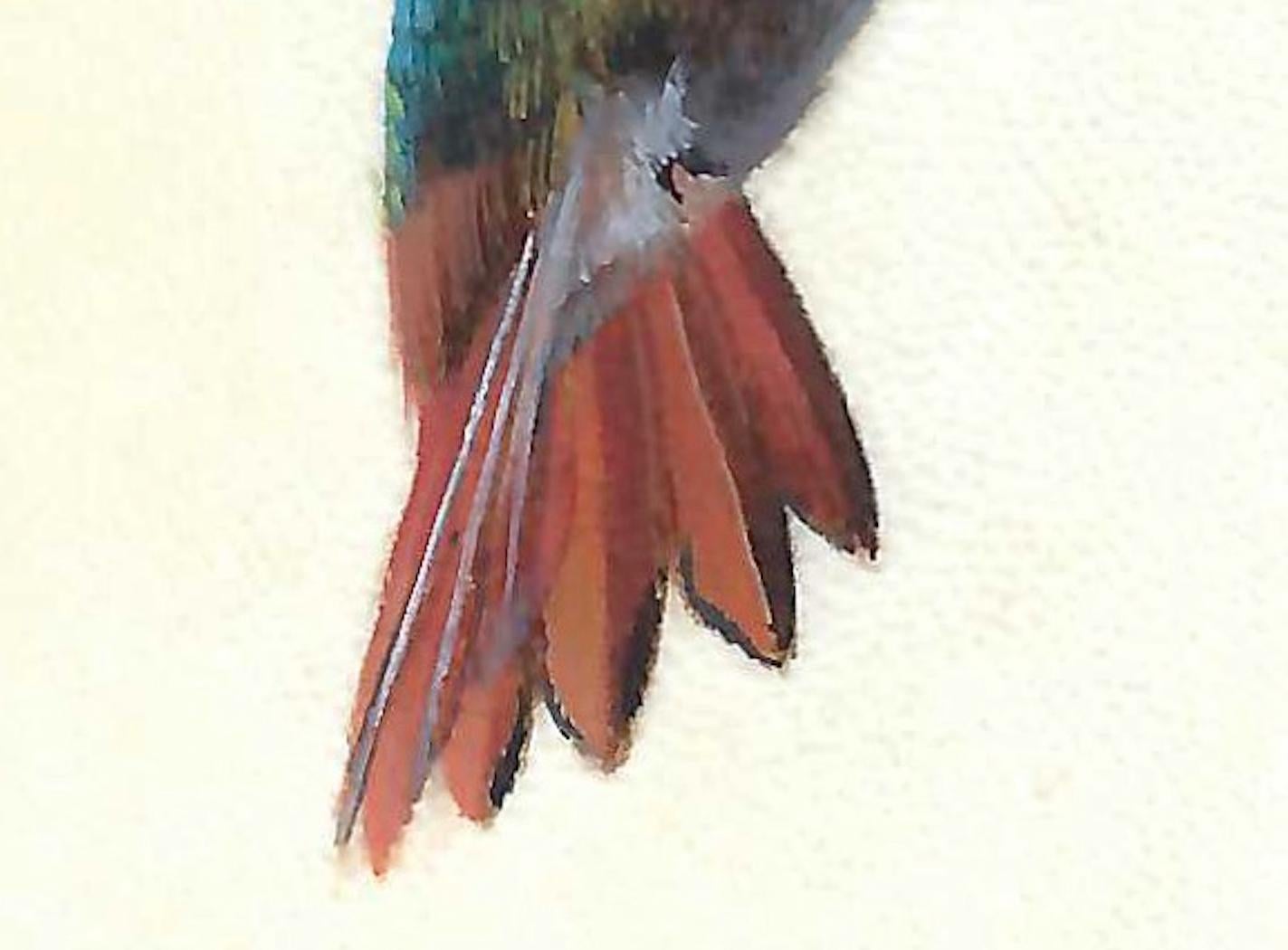 Hummingbird in Flight, farbenfrohes Miniaturistisches realistisches Gemälde auf Pergament – Art von Dina Brodsky