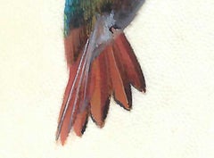 Colibrí en Vuelo, Pintura Miniaturista Realista de Colores sobre Pergamino