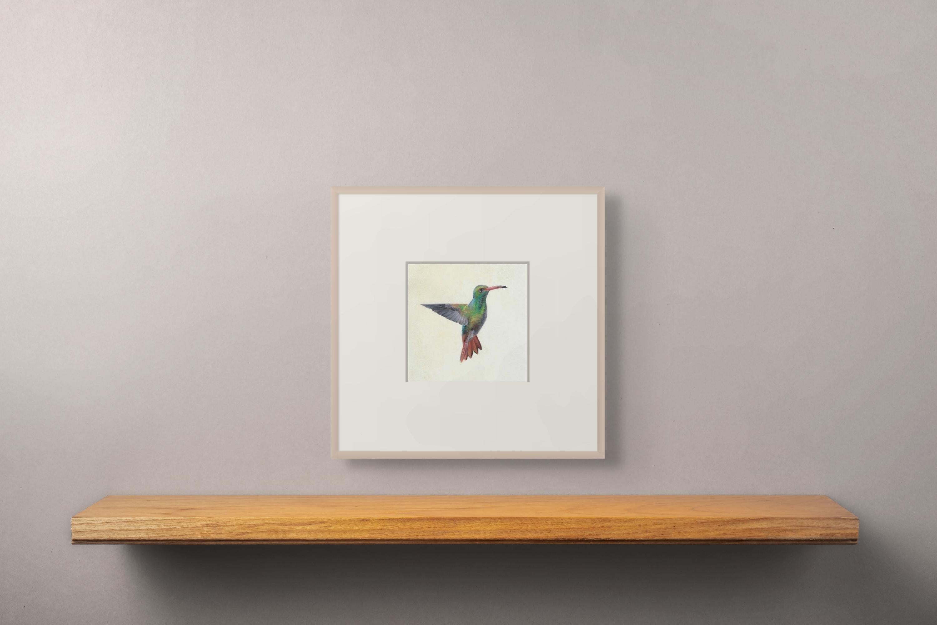 Hummingbird in Flight, farbenfrohes Miniaturistisches realistisches Gemälde auf Pergament im Angebot 2