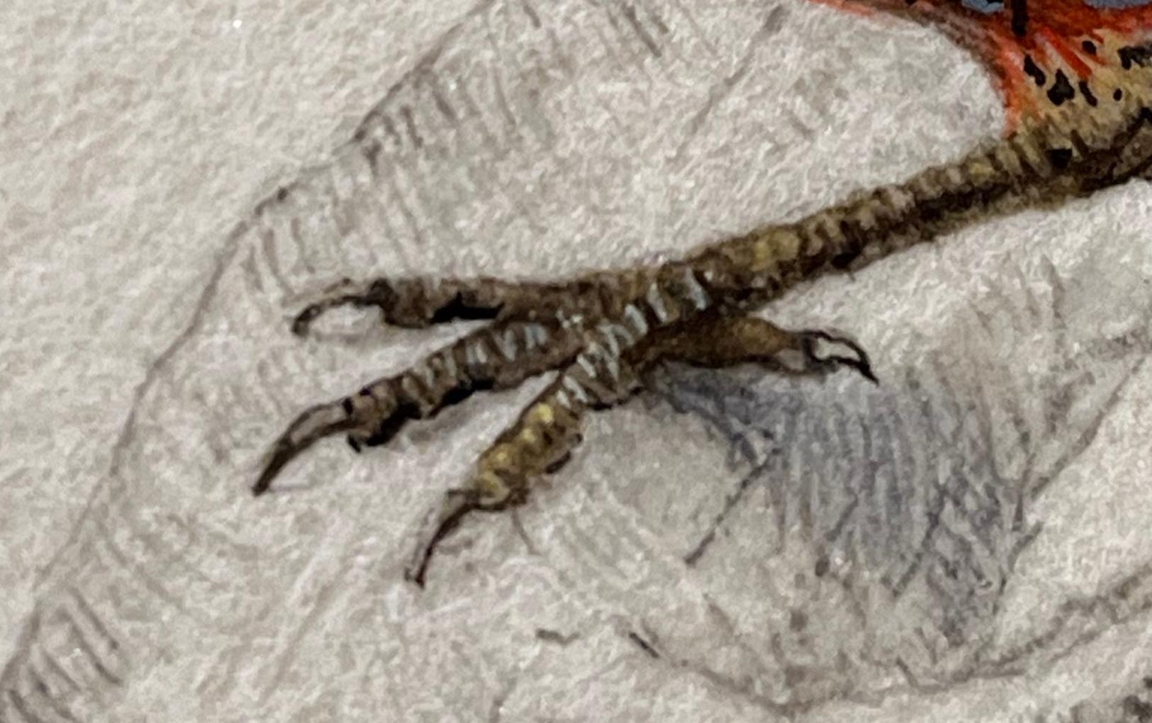 Fasan Miniaturist Malerei, 3 x 3 in, Jewel-Toned Vogel Porträt (Grau), Animal Painting, von Dina Brodsky