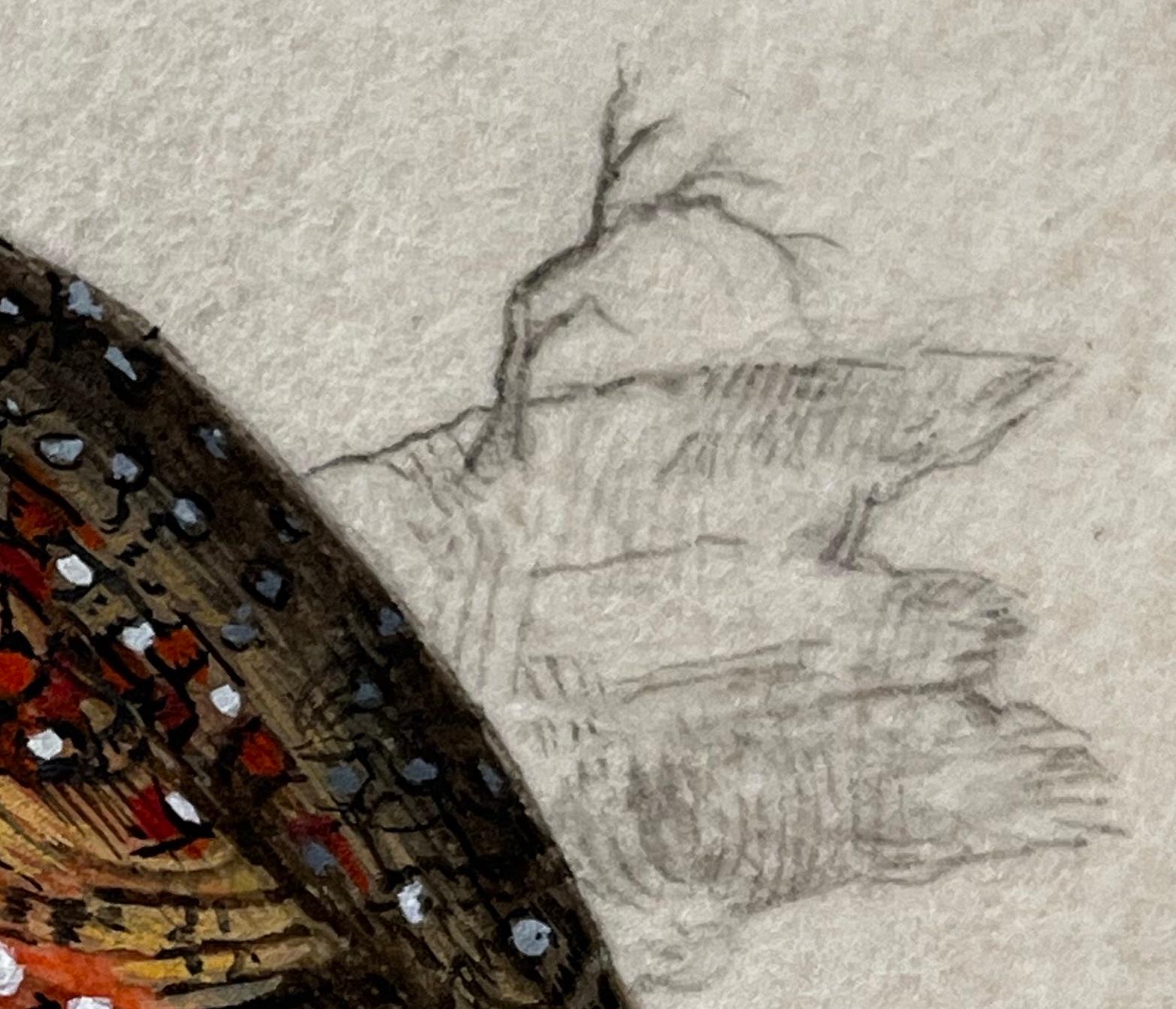 Fasan Miniaturist Malerei, 3 x 3 in, Jewel-Toned Vogel Porträt im Angebot 1