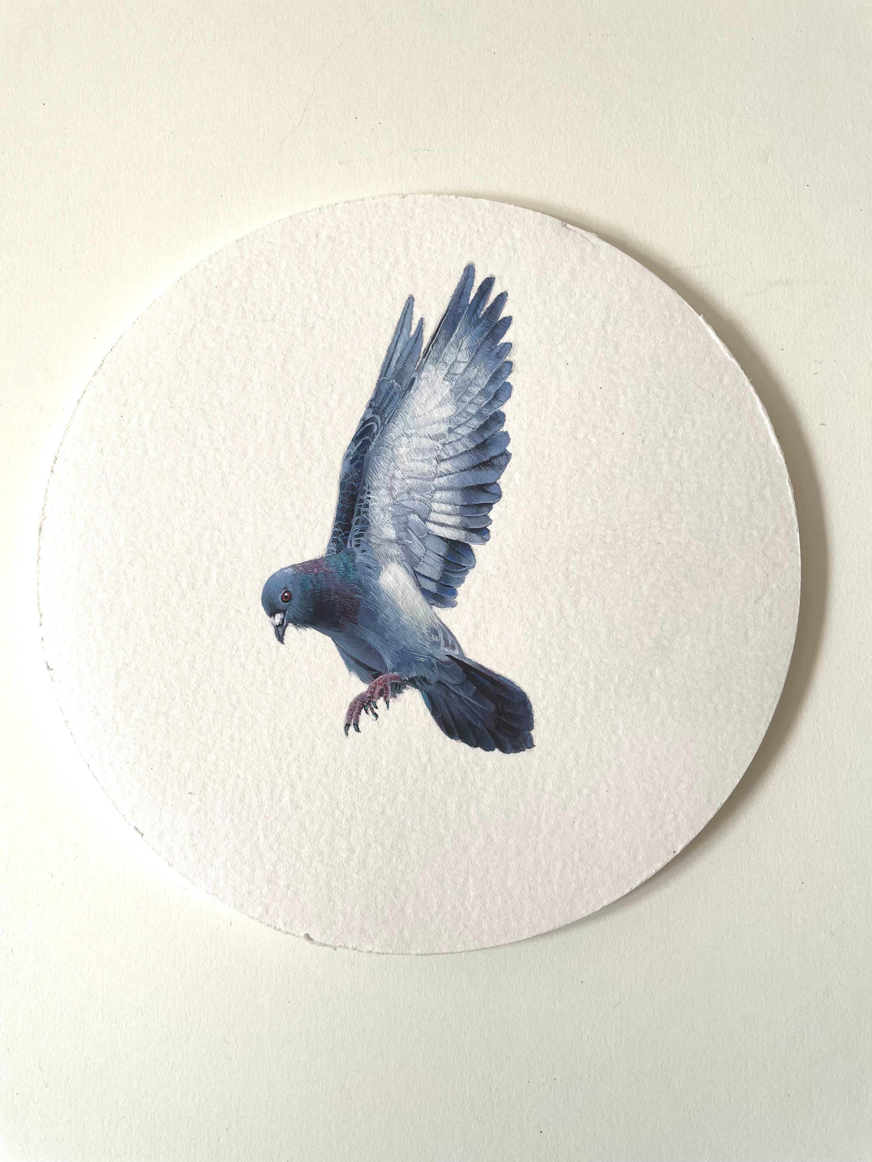 Dina Brodsky Animal Painting - Pigeon in the Air, 2023, miniature realist animal painting
