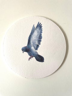 Pigeon in the Air, 2023, miniature realist landscape painting