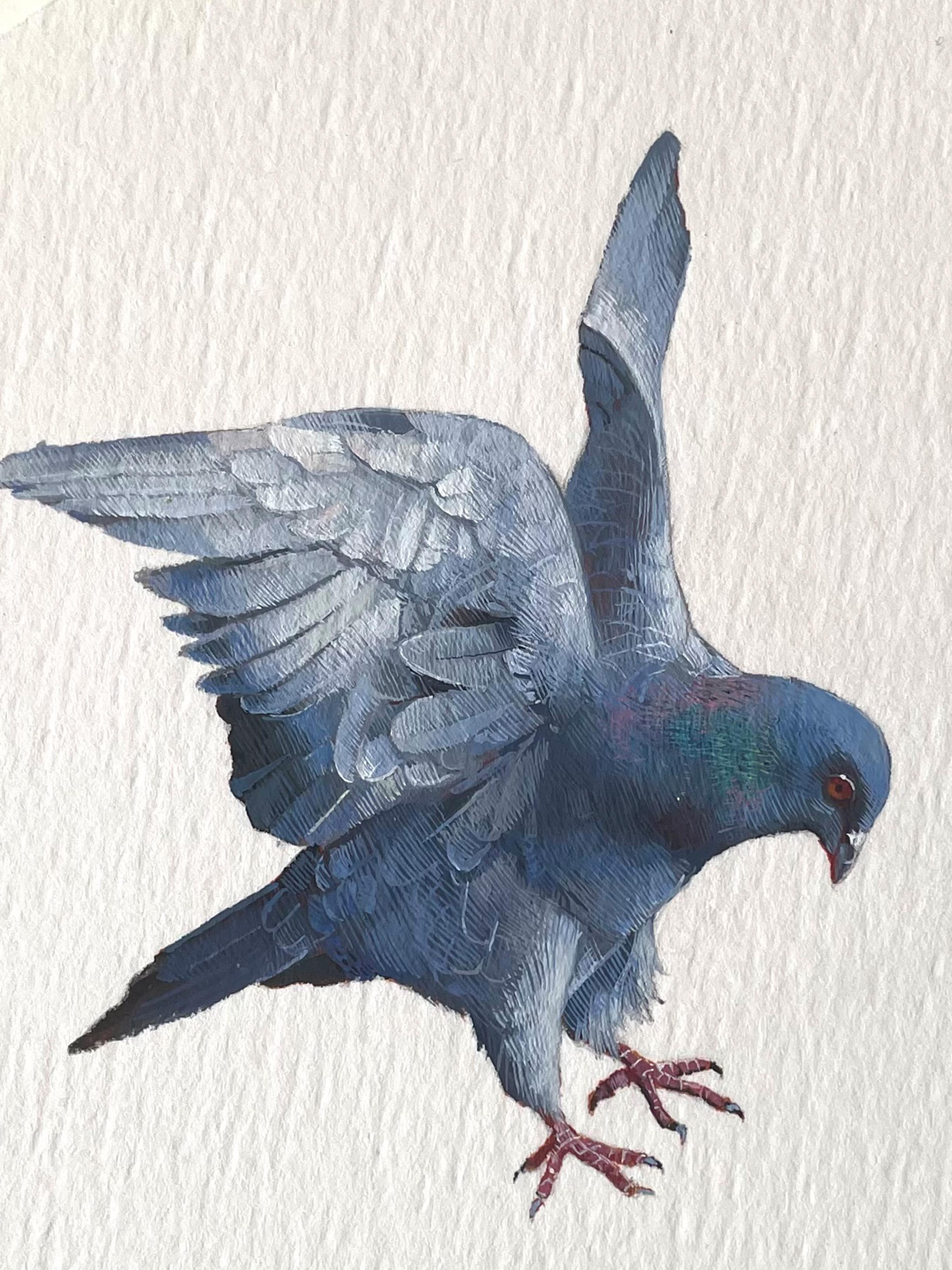 Pigeon Landing, 2023, miniature realist animal painting - Painting by Dina Brodsky